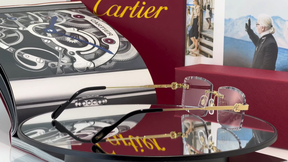 Designer Sunglasses CT0850S
