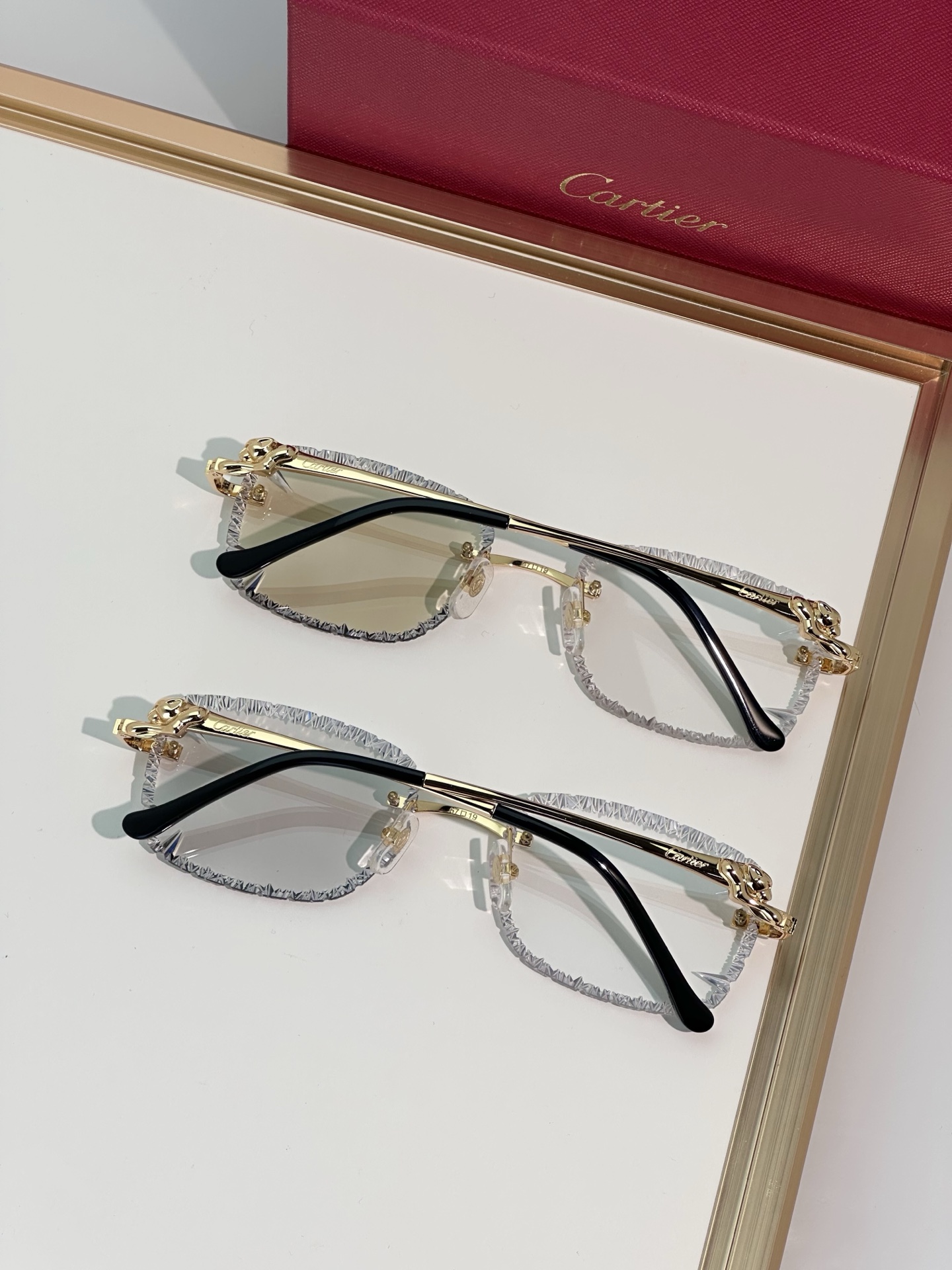 Designer Sunglasses CT0829S