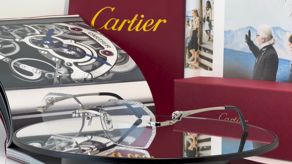 Designer Sunglasses CT0828S