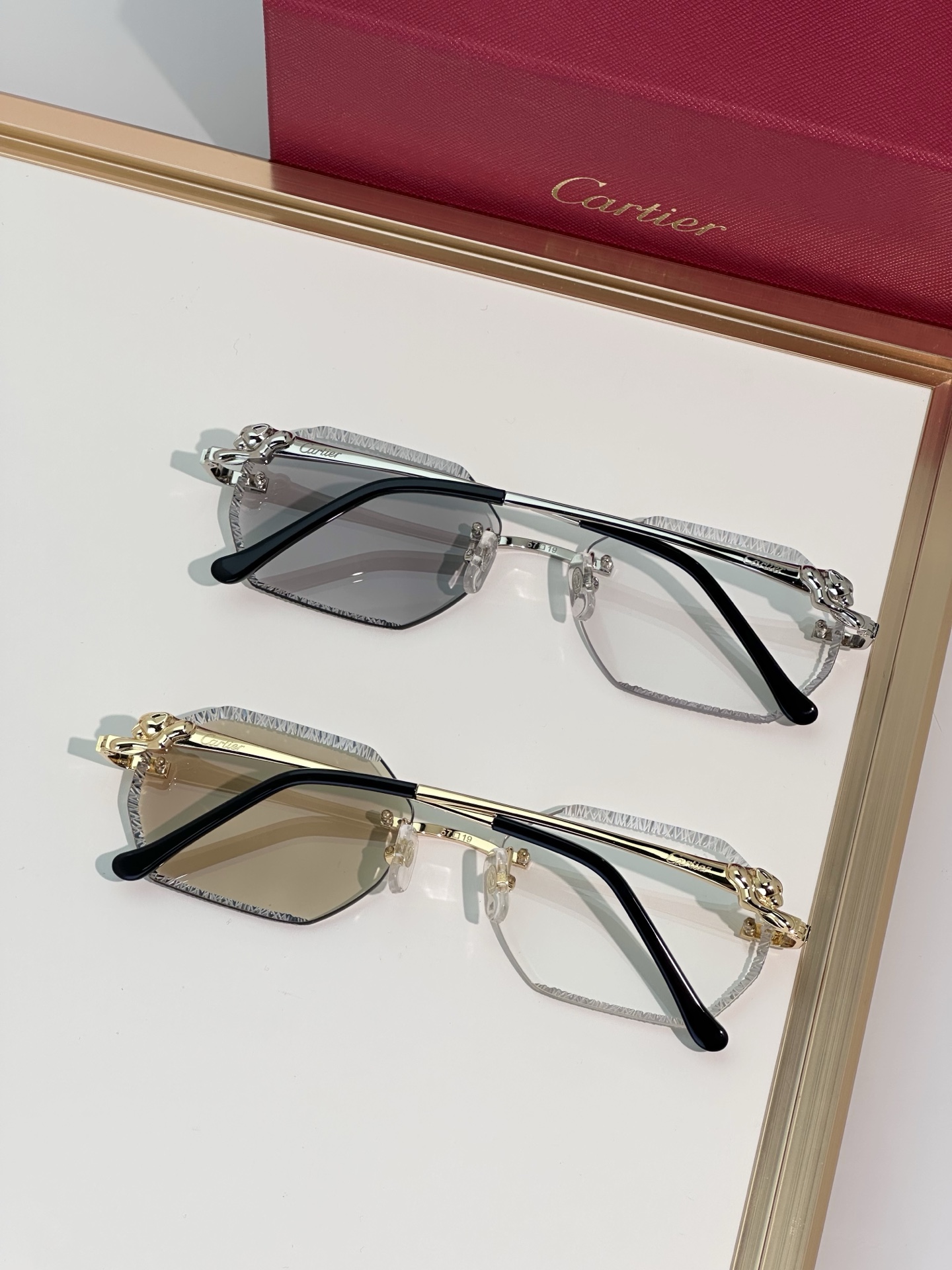 Designer Sunglasses CT0828S