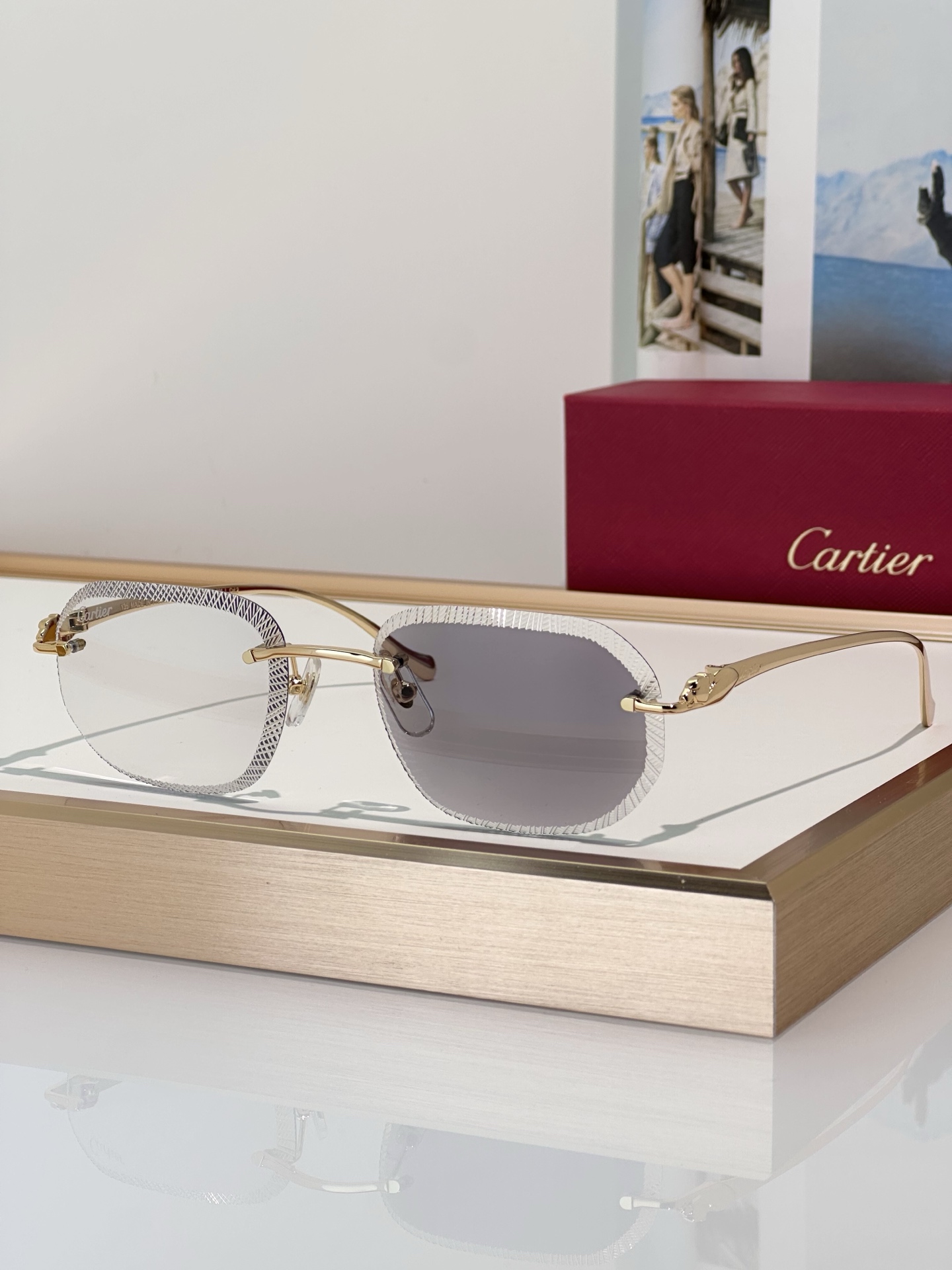 Designer Sunglasses CT0839S