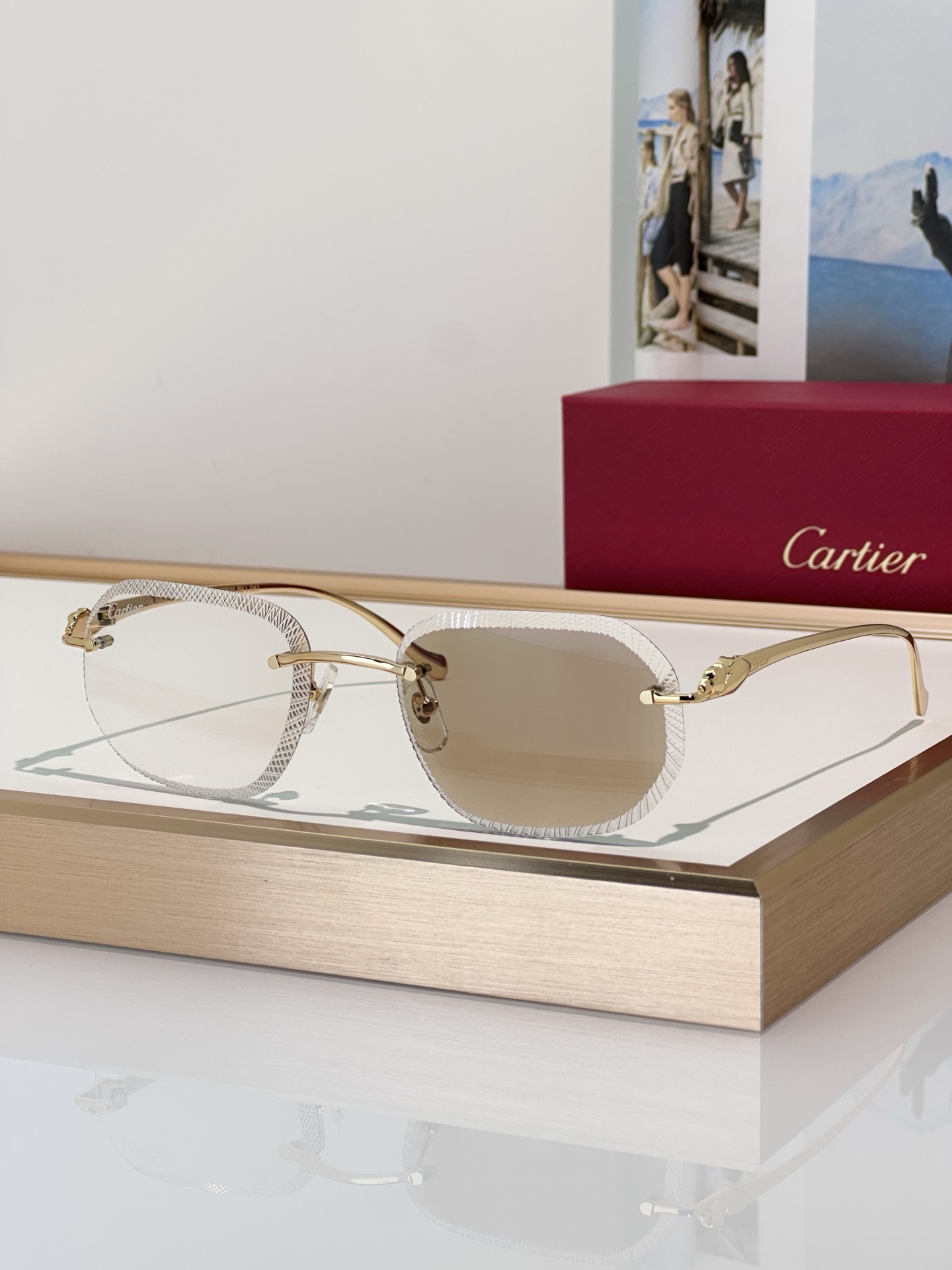 Designer Sunglasses CT0839S