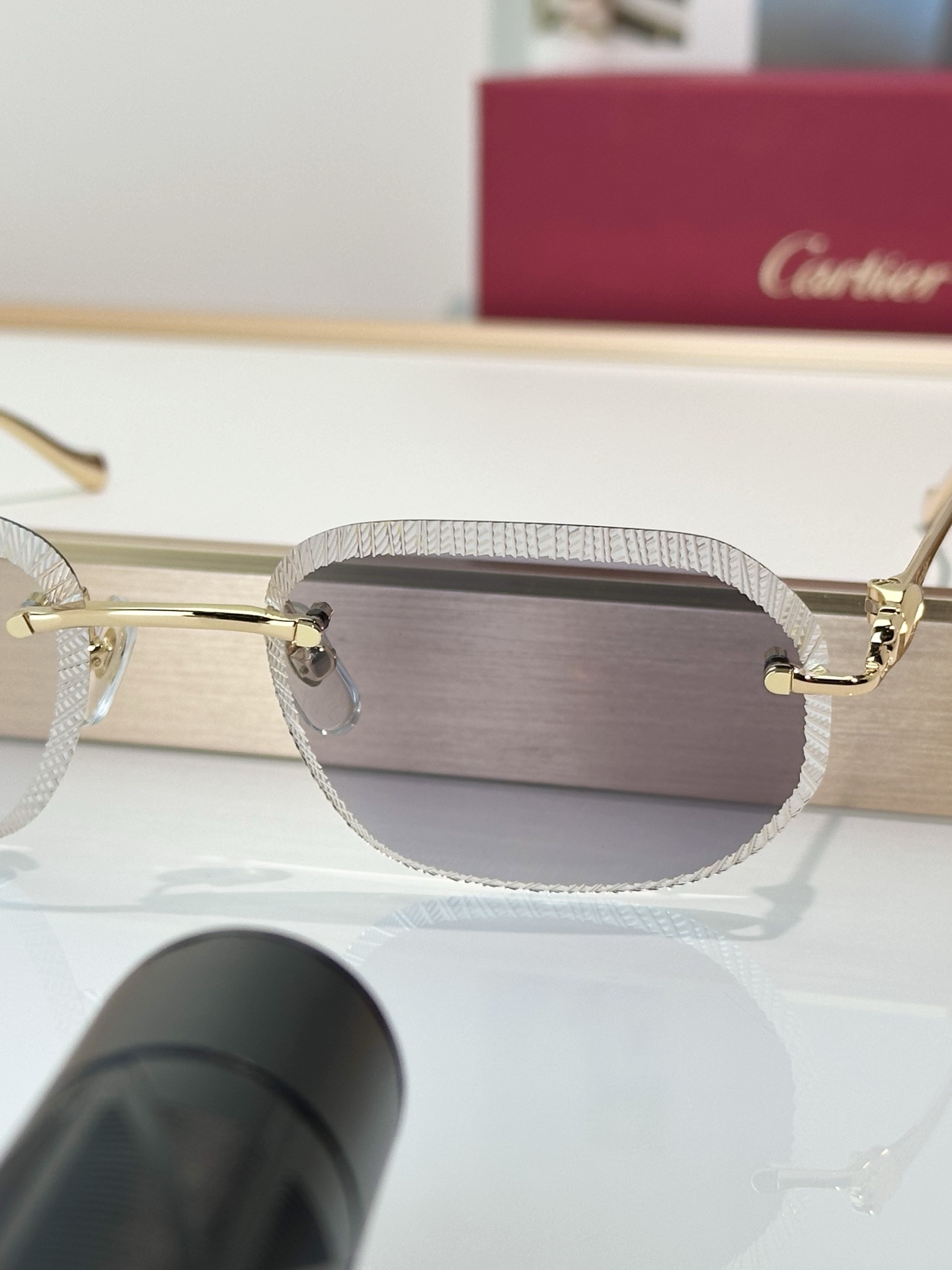 Designer Sunglasses CT0839S