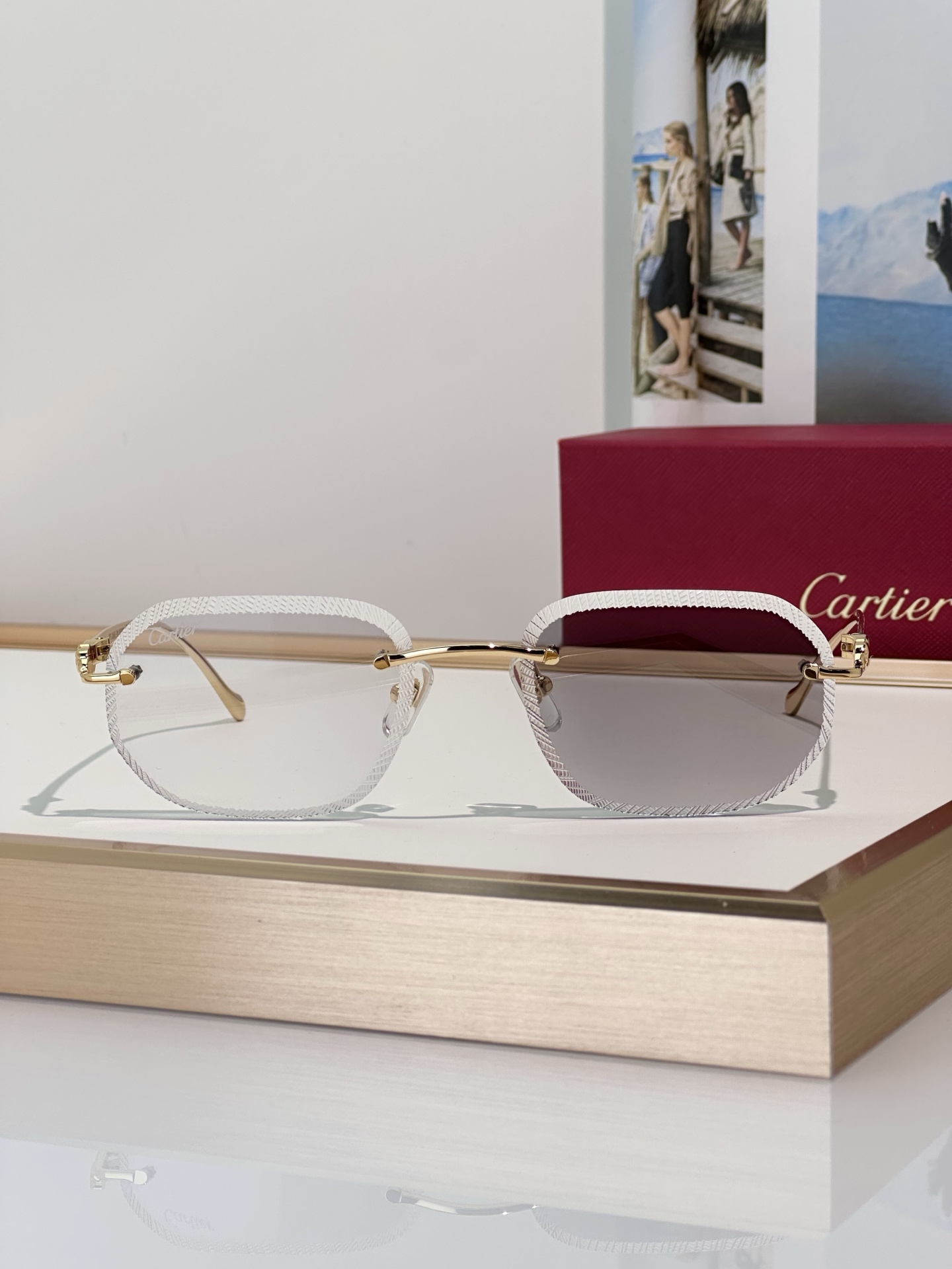 Designer Sunglasses CT0839S