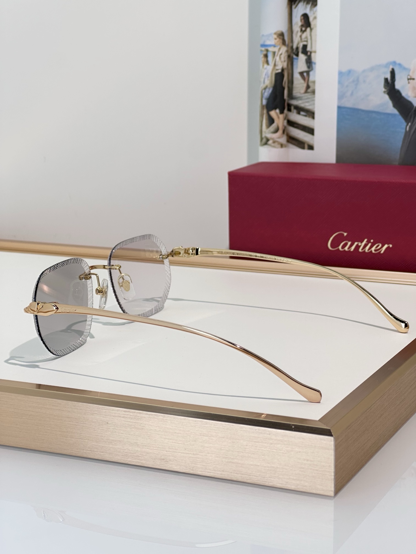 Designer Sunglasses CT0839S