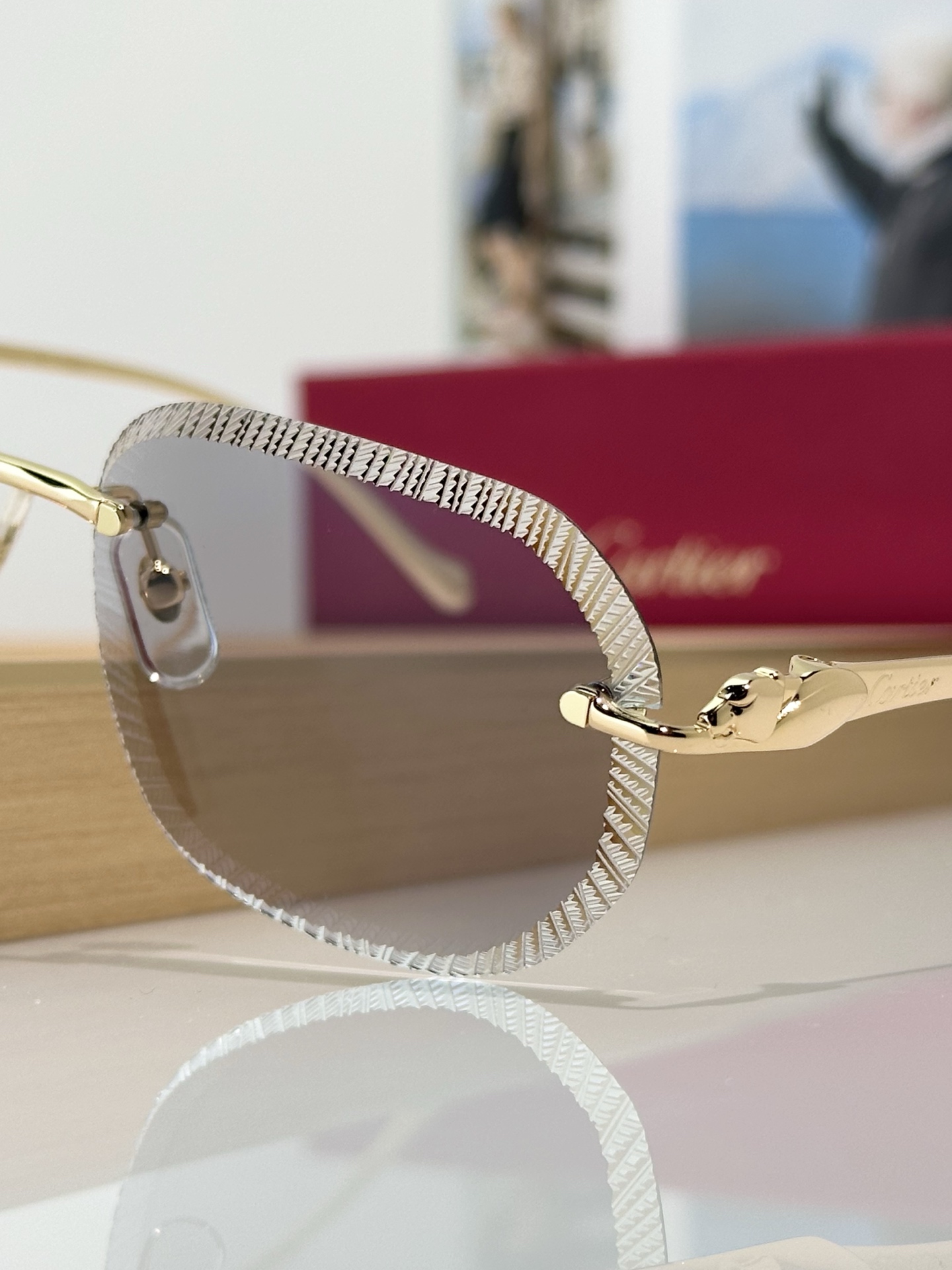 Designer Sunglasses CT0839S
