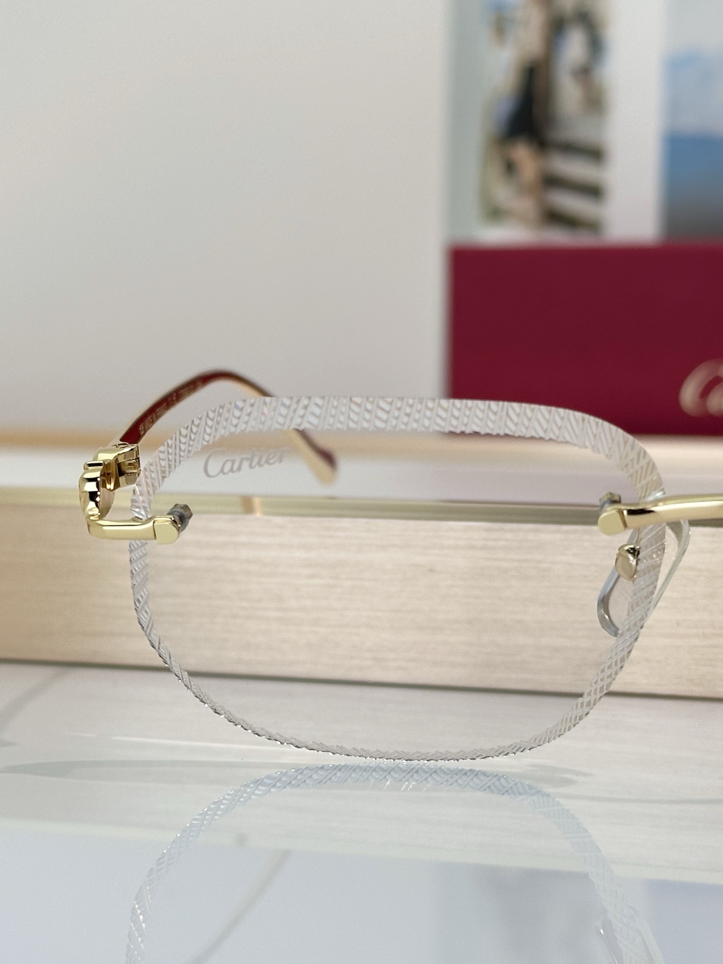 Designer Sunglasses CT0839S