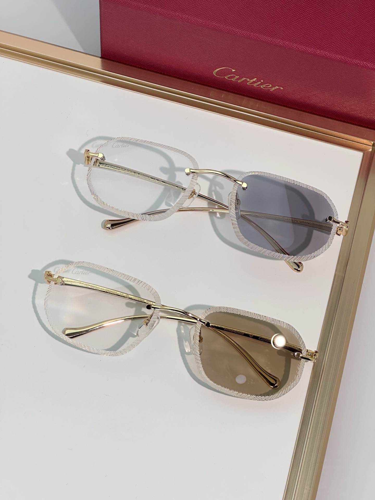 Designer Sunglasses CT0839S