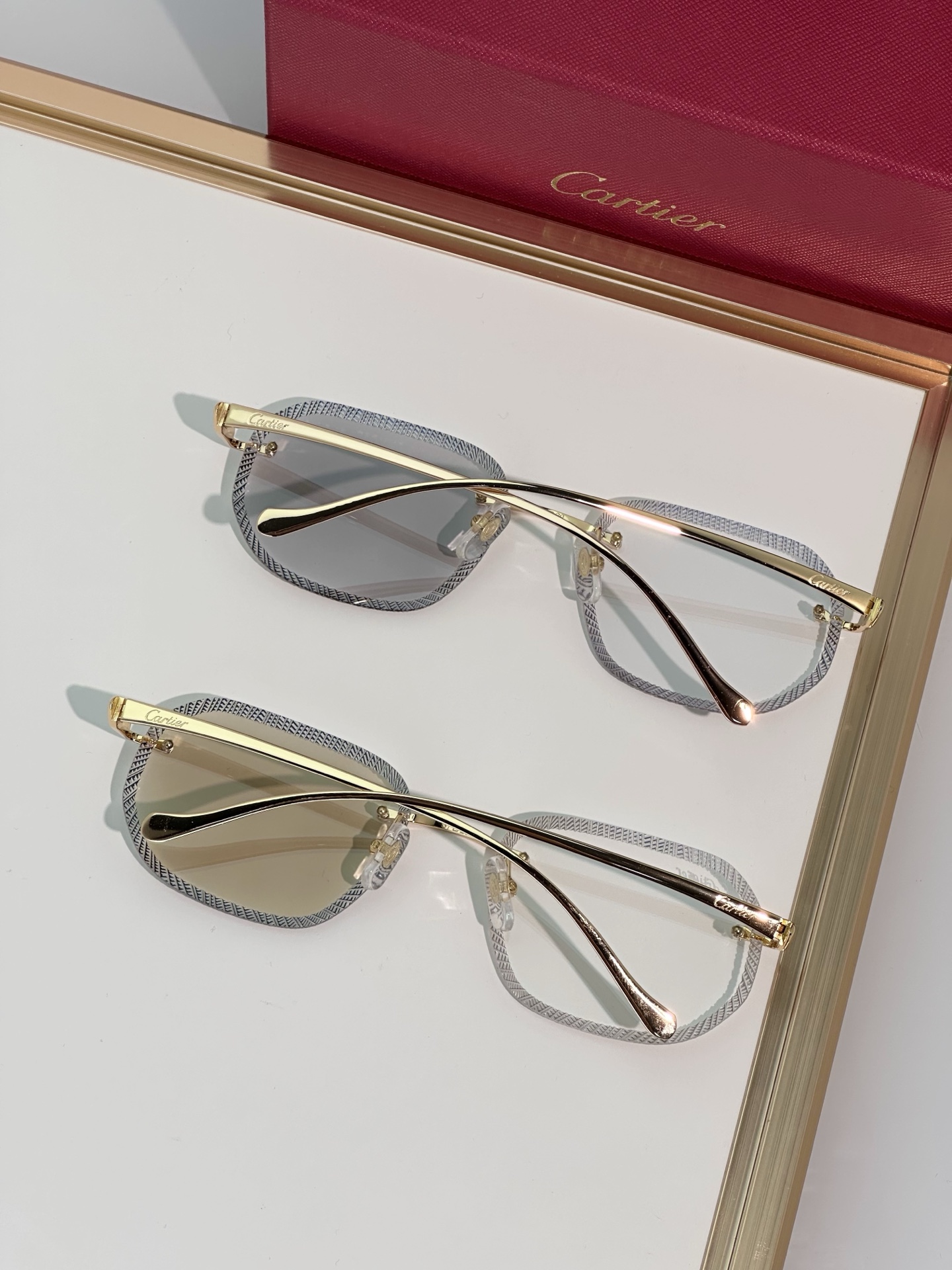Designer Sunglasses CT0839S