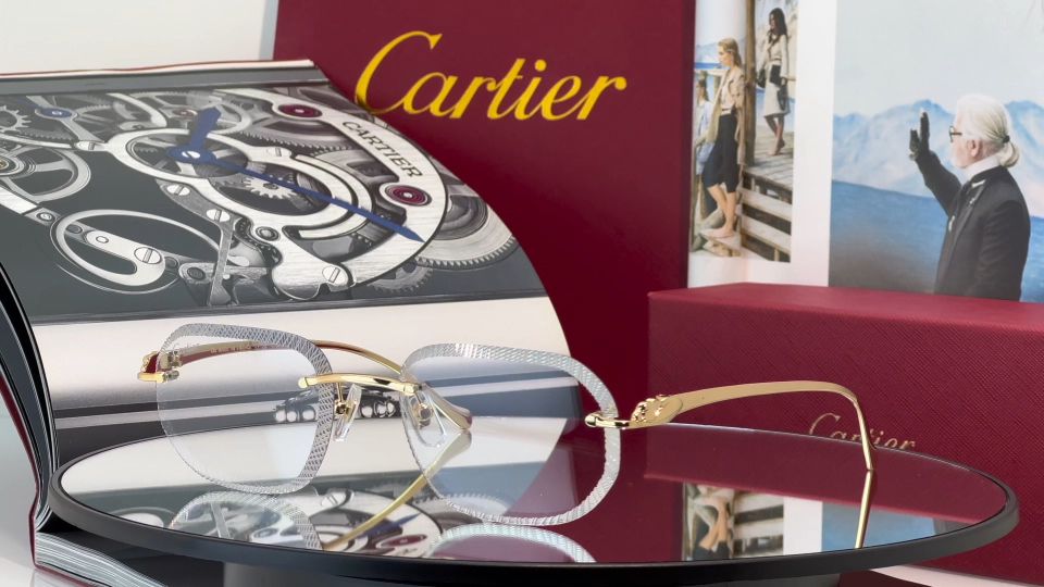 Designer Sunglasses CT0839S