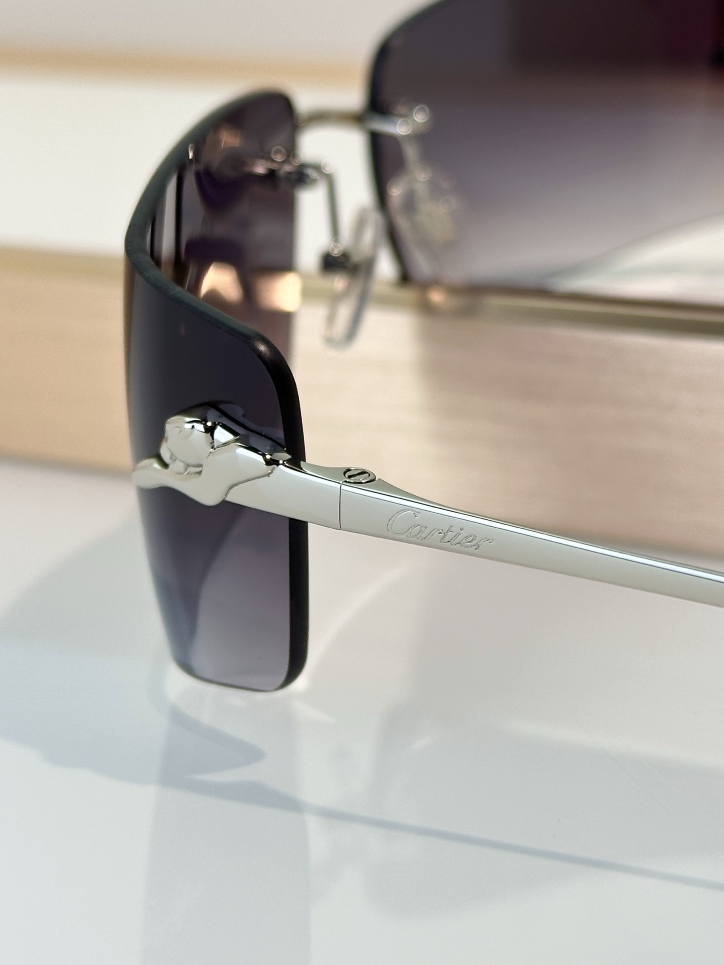 Designer Sunglasses CT0503S