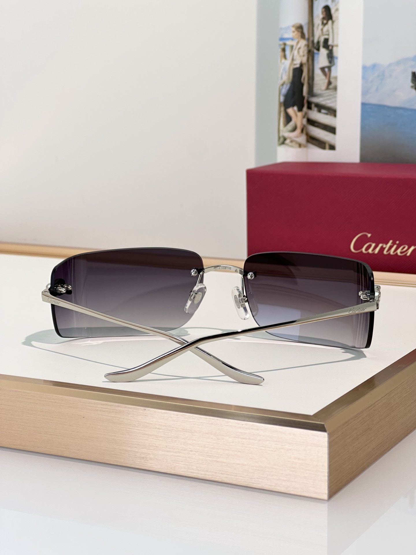 Designer Sunglasses CT0503S