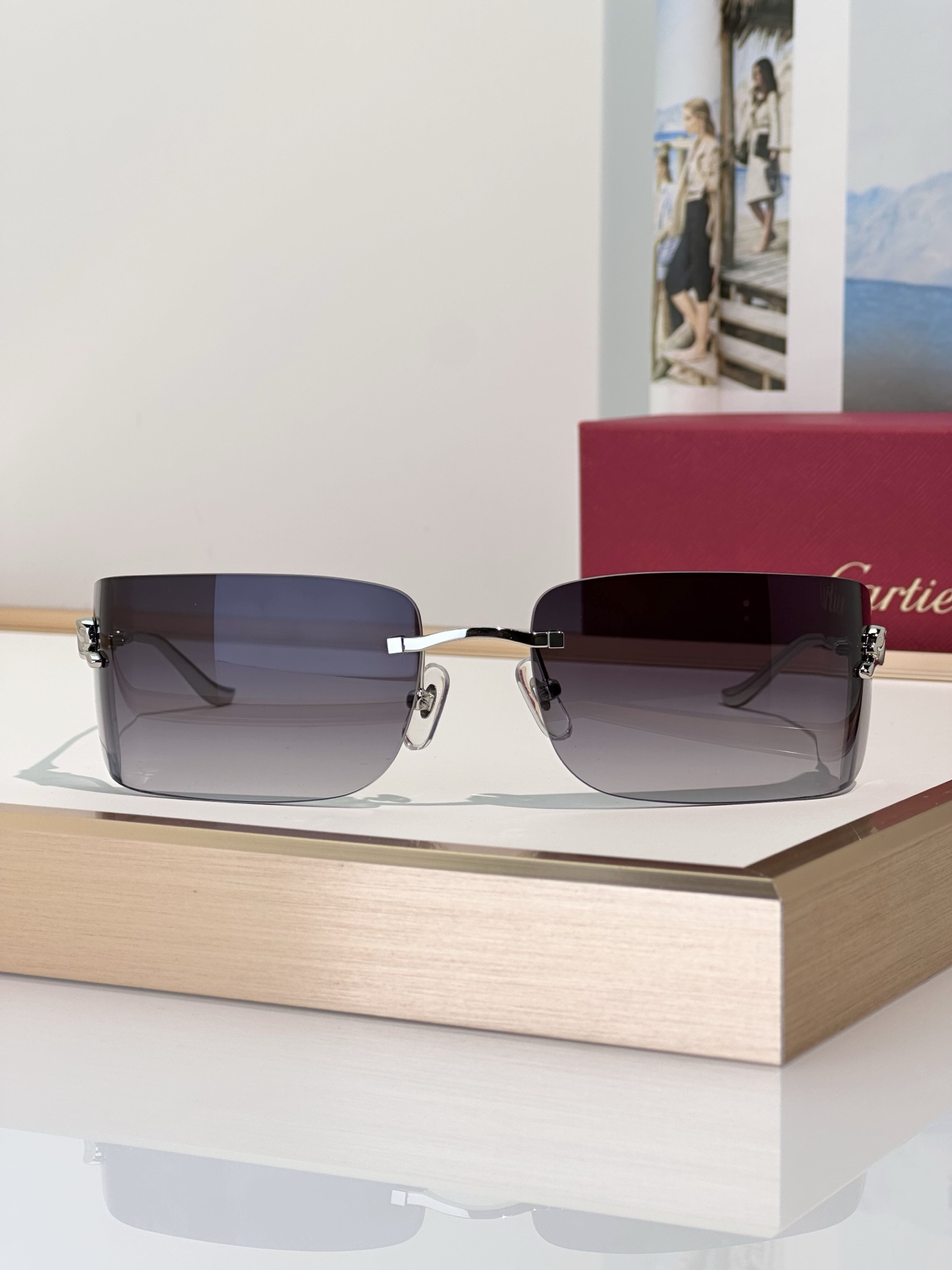 Designer Sunglasses CT0503S
