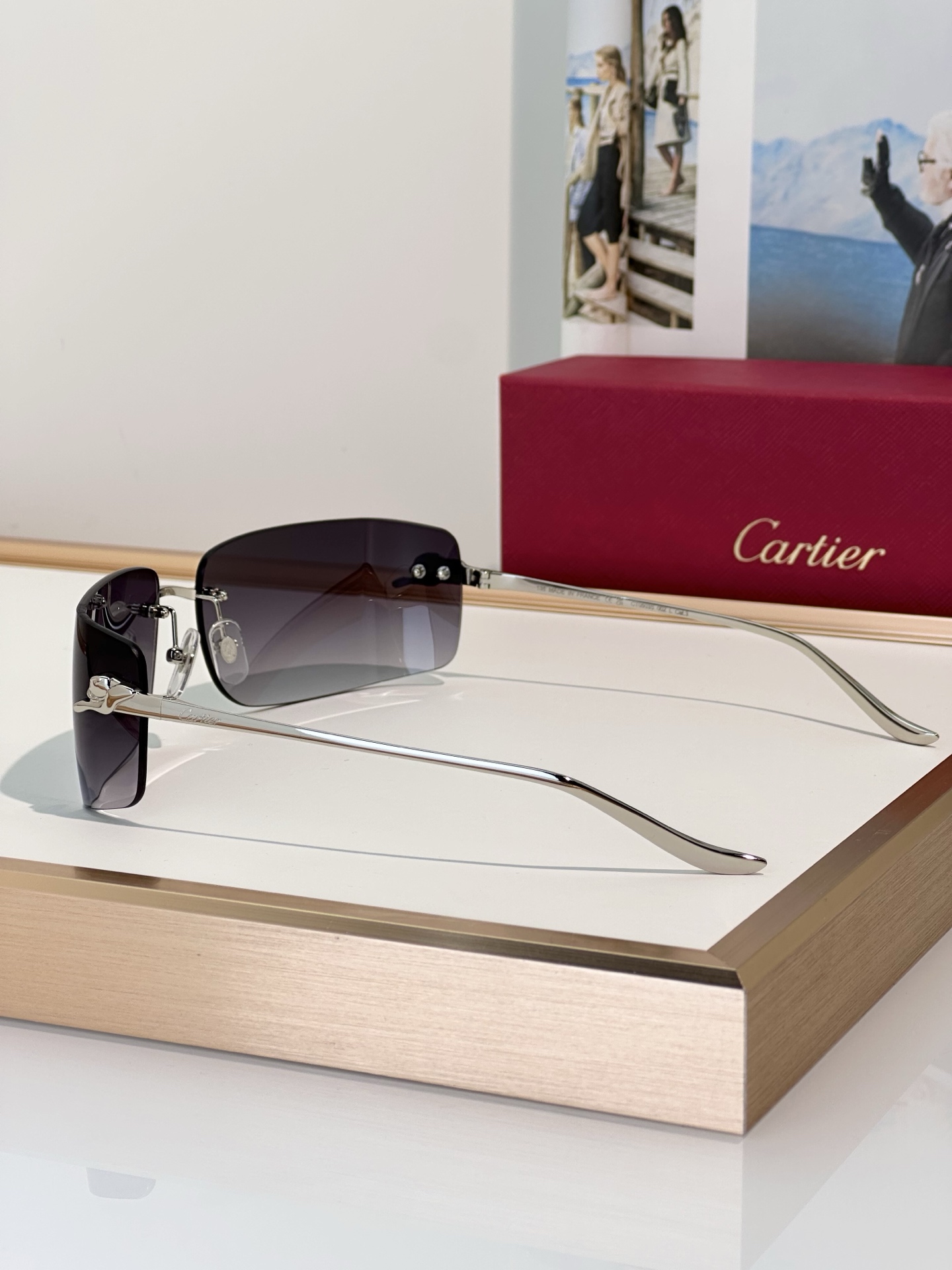 Designer Sunglasses CT0503S