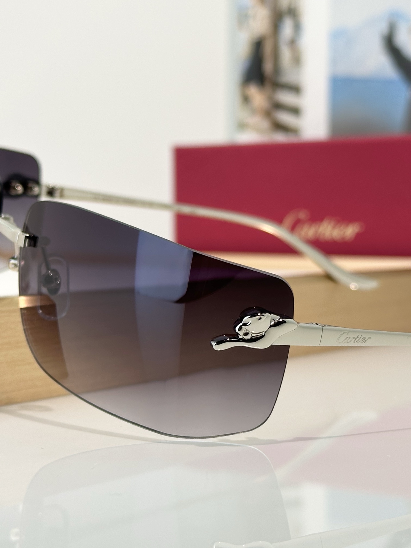 Designer Sunglasses CT0503S