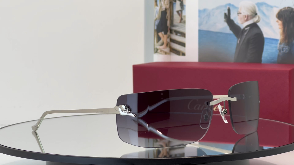 Designer Sunglasses CT0503S