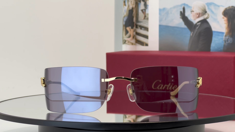 Designer Sunglasses CT0503S