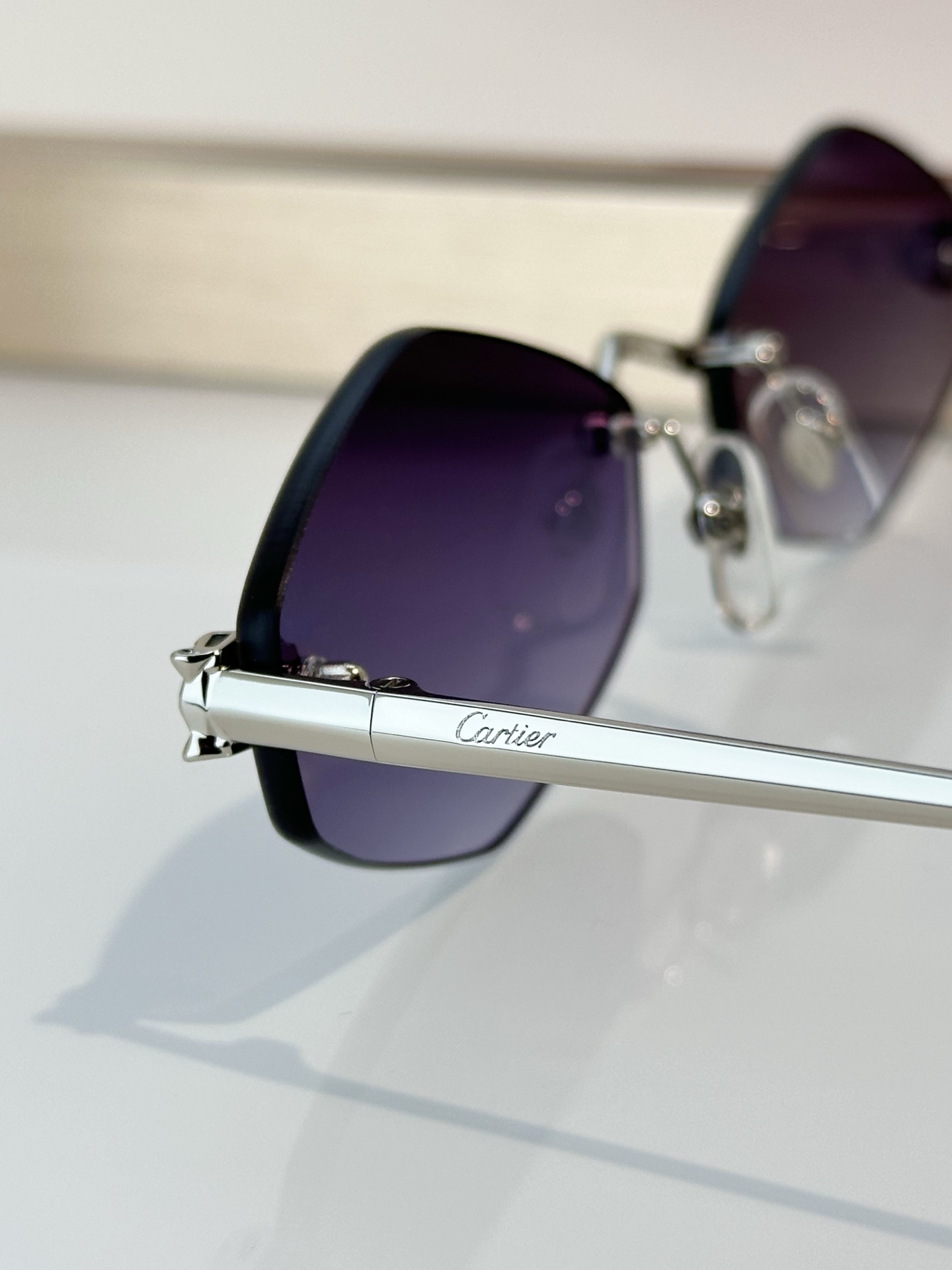 Designer Sunglasses CT0433S