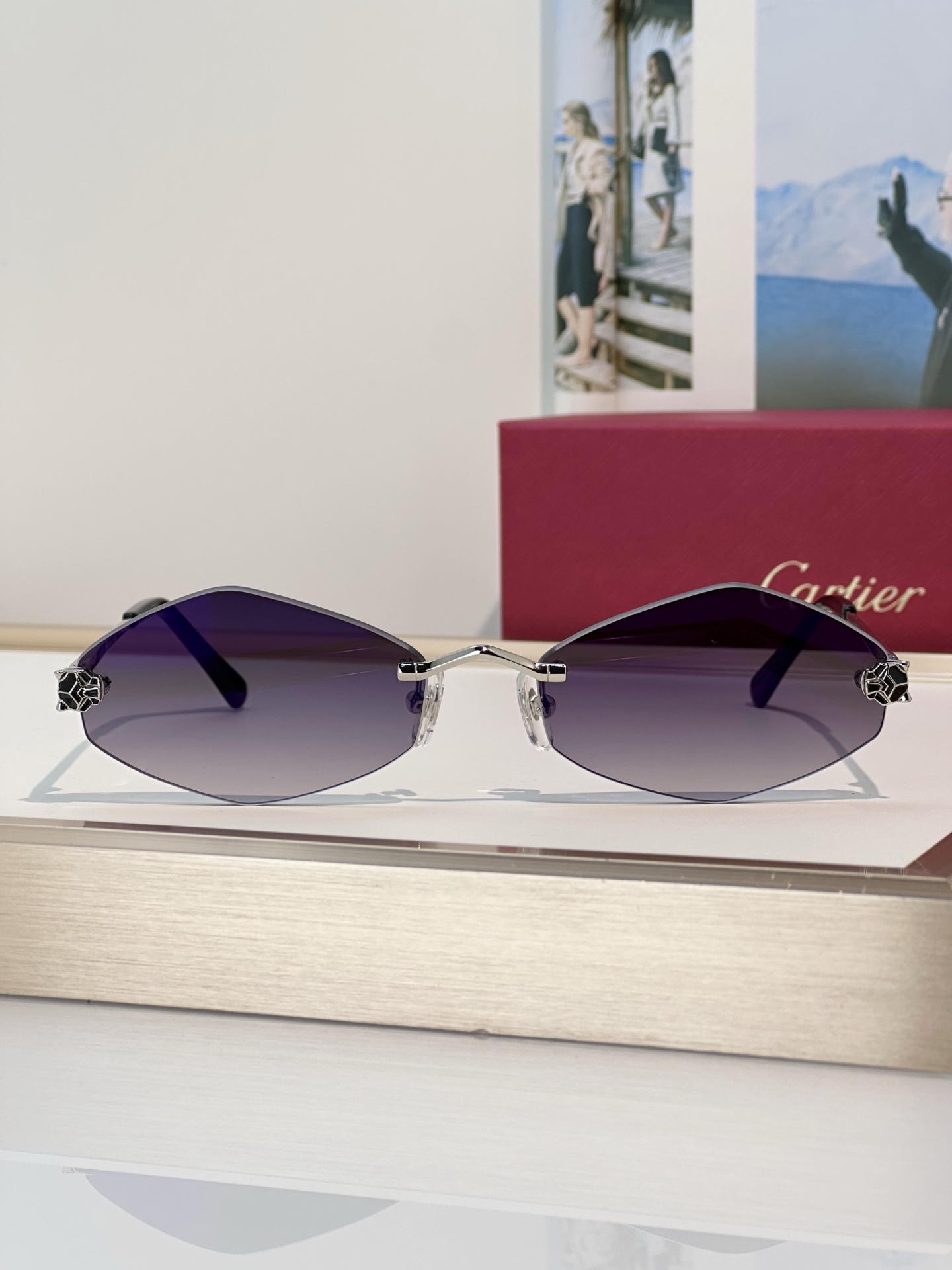 Designer Sunglasses CT0433S