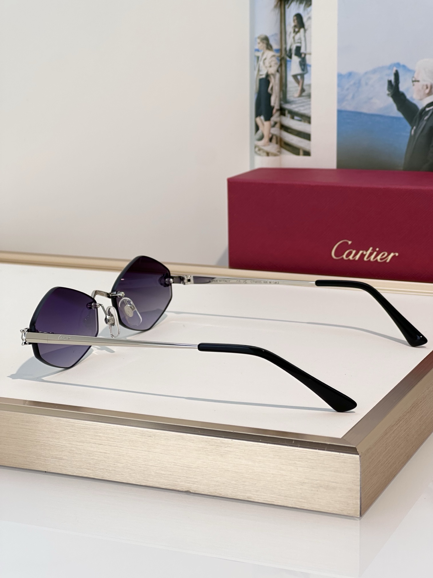 Designer Sunglasses CT0433S