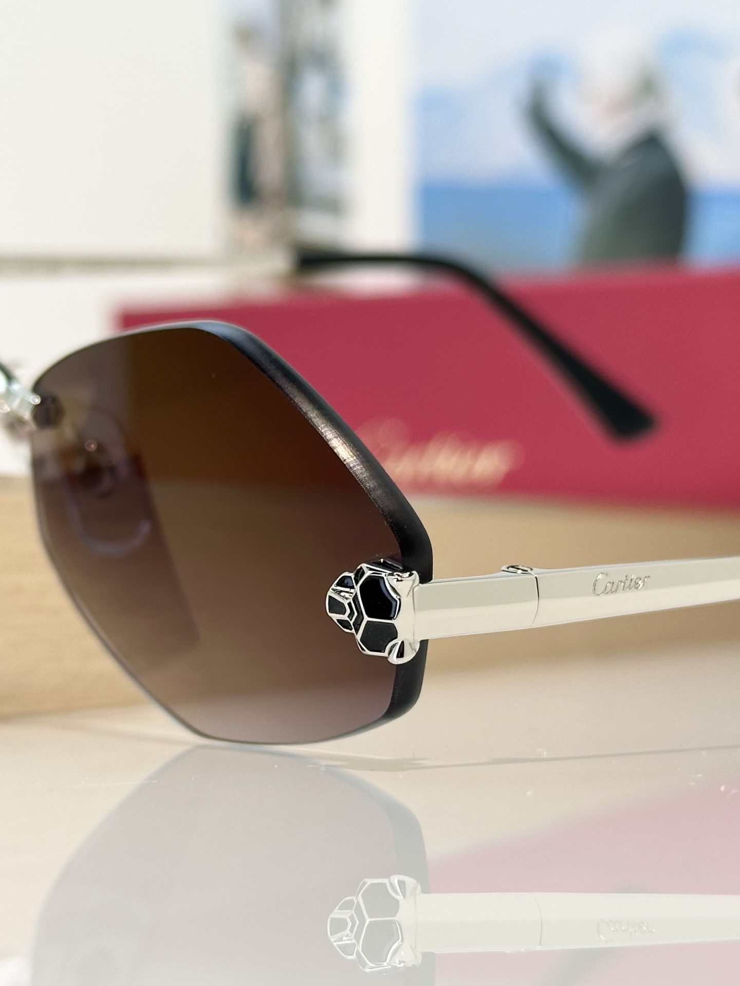 Designer Sunglasses CT0433S