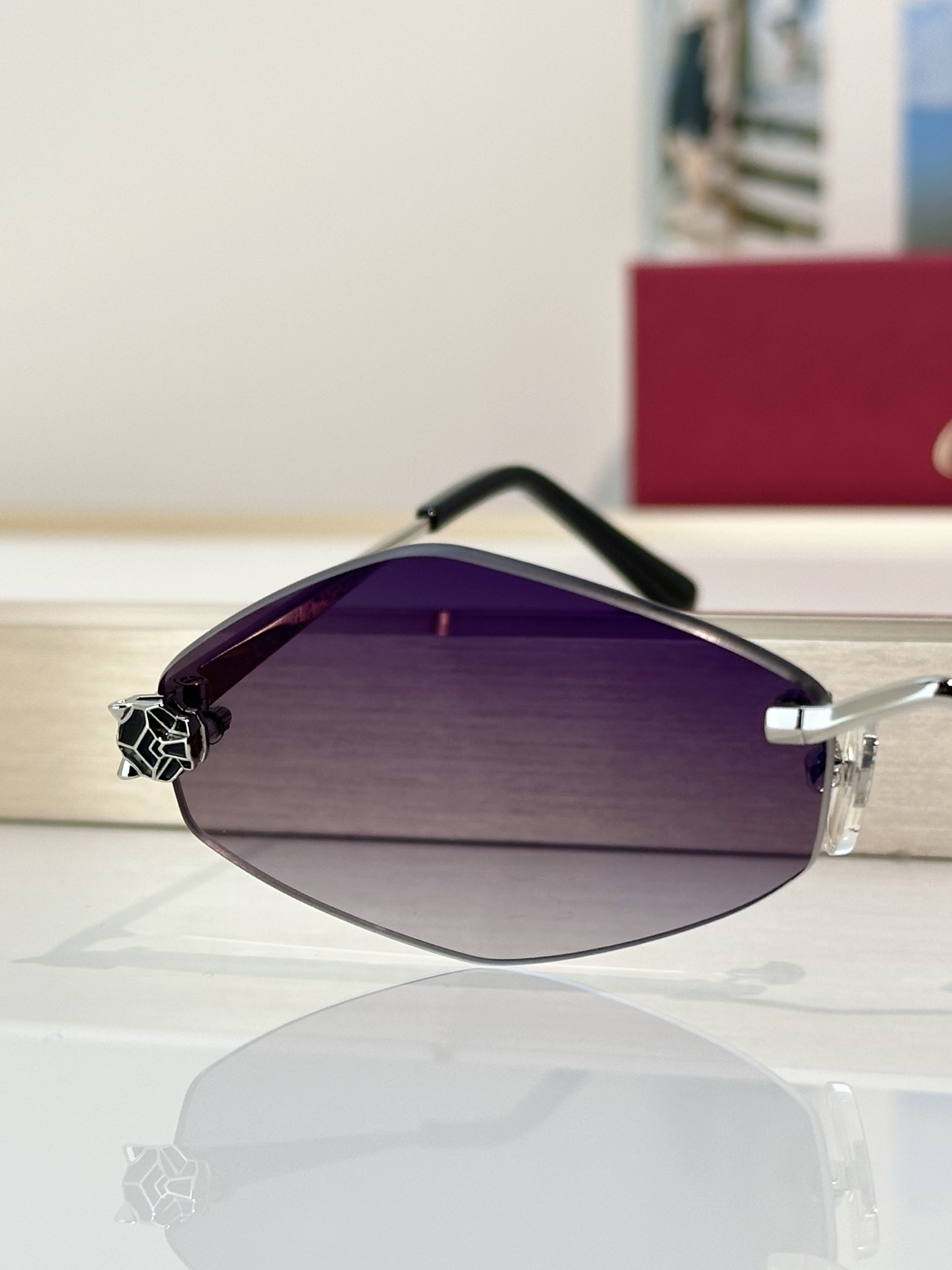 Designer Sunglasses CT0433S