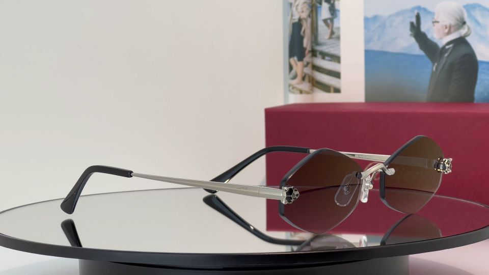 Designer Sunglasses CT0433S