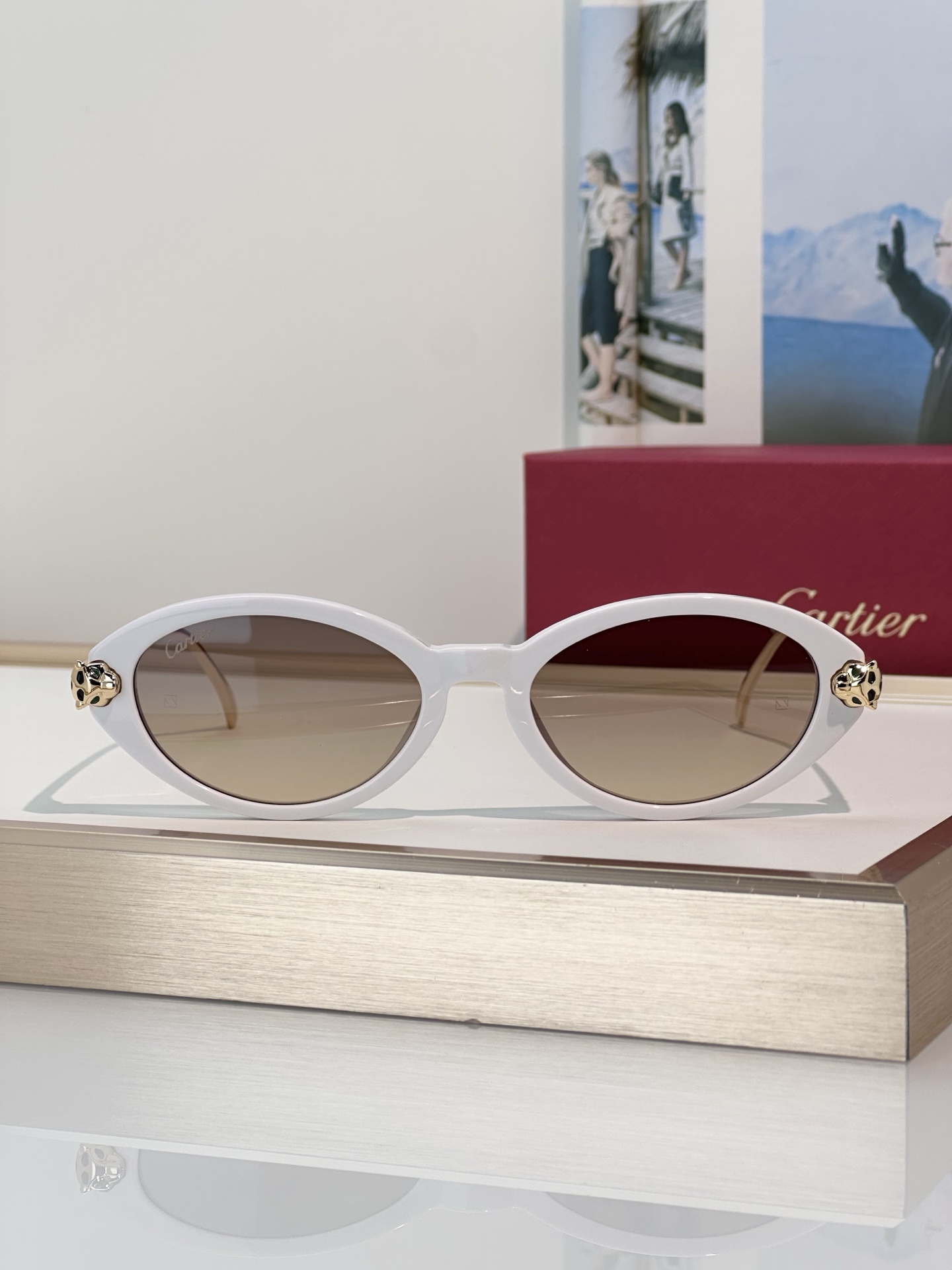 Designer Sunglasses CT0634S