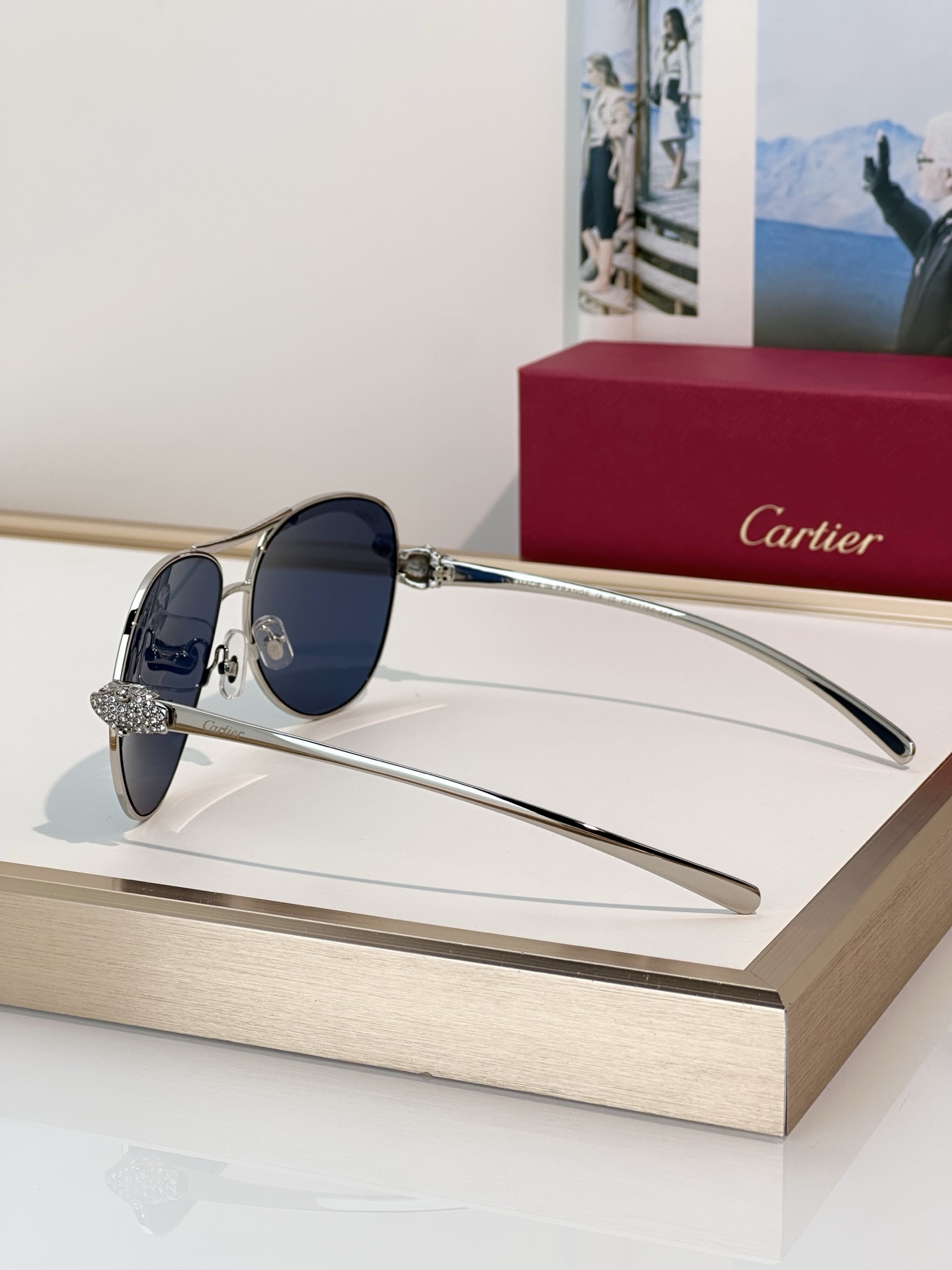 Designer Sunglasses CT0735S