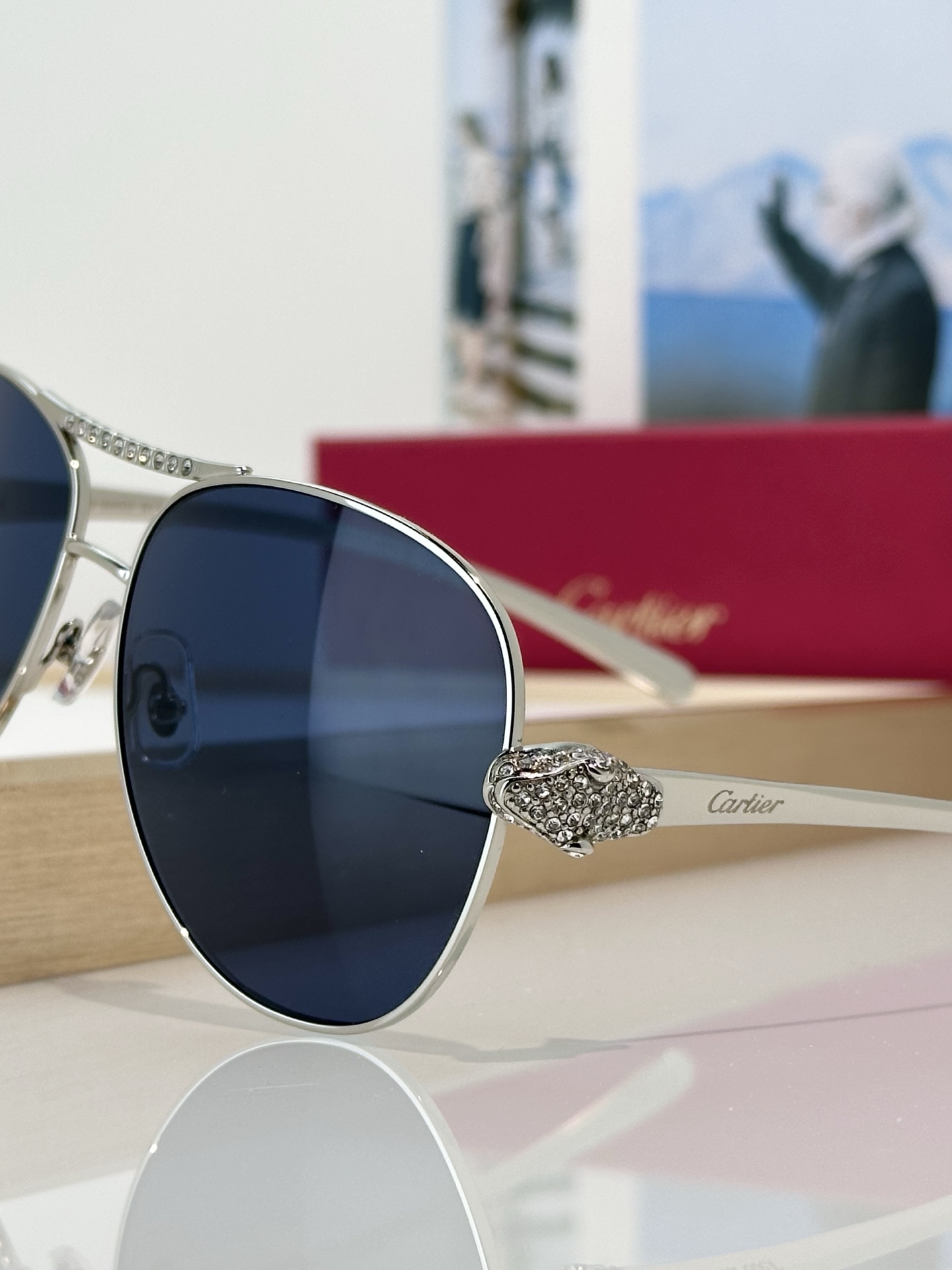 Designer Sunglasses CT0735S