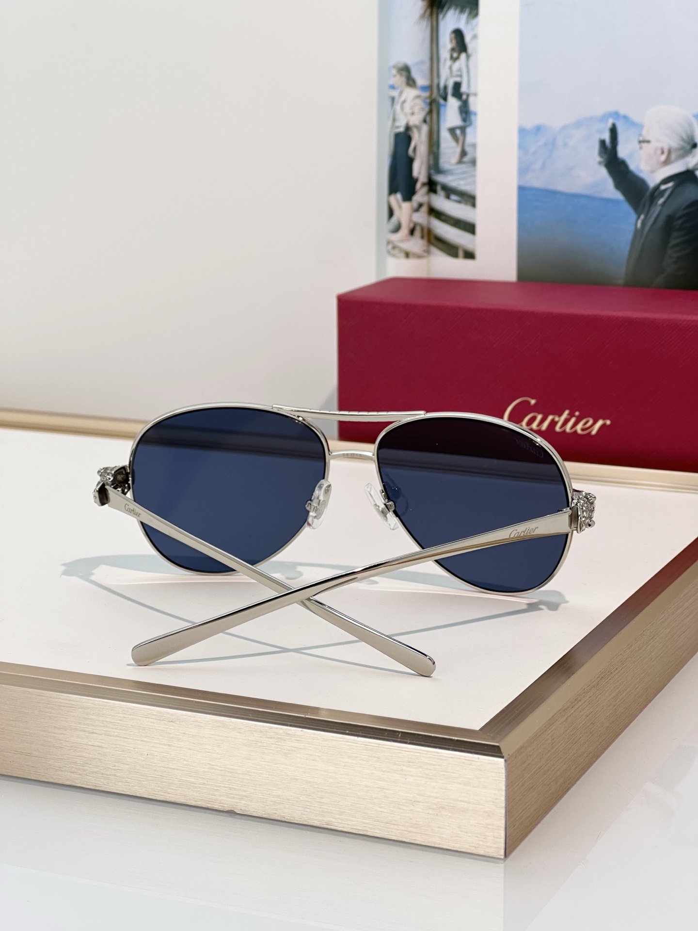 Designer Sunglasses CT0735S