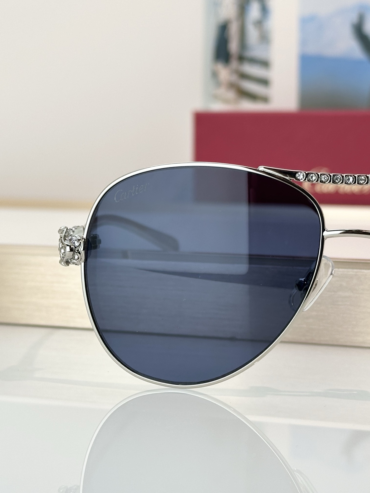 Designer Sunglasses CT0735S