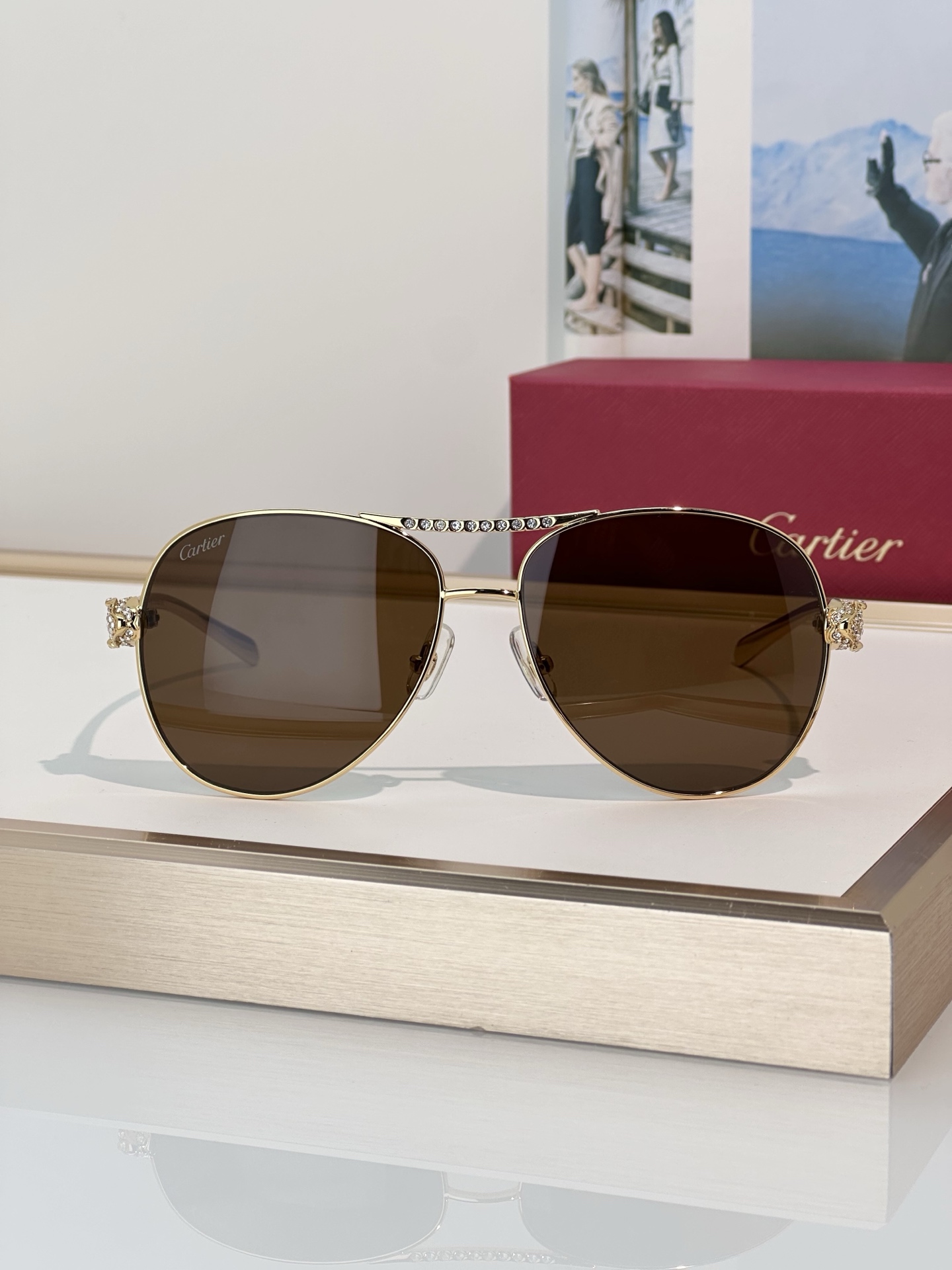 Designer Sunglasses CT0735S