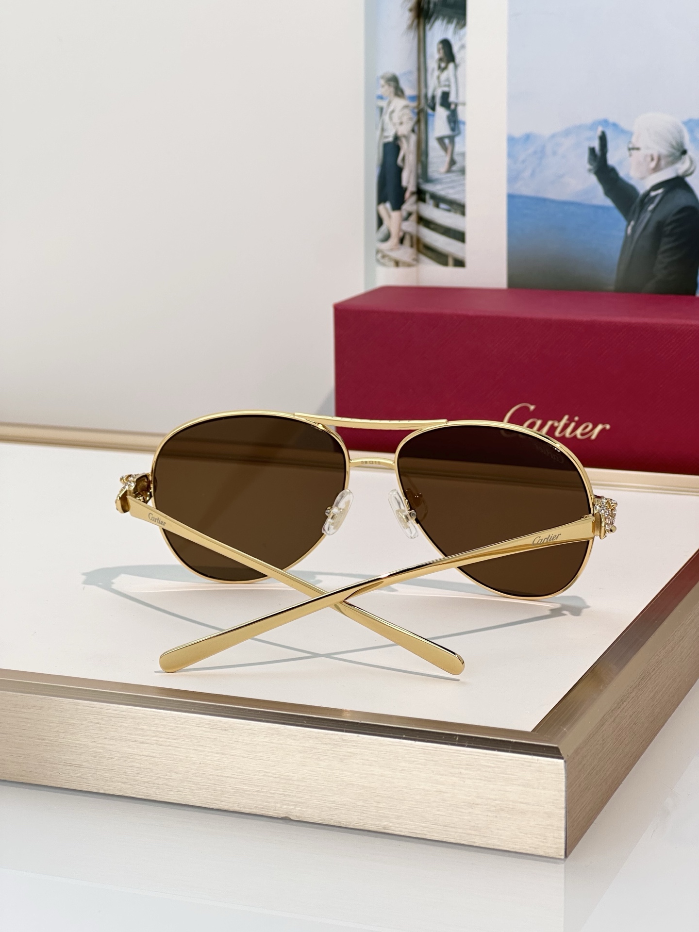 Designer Sunglasses CT0735S