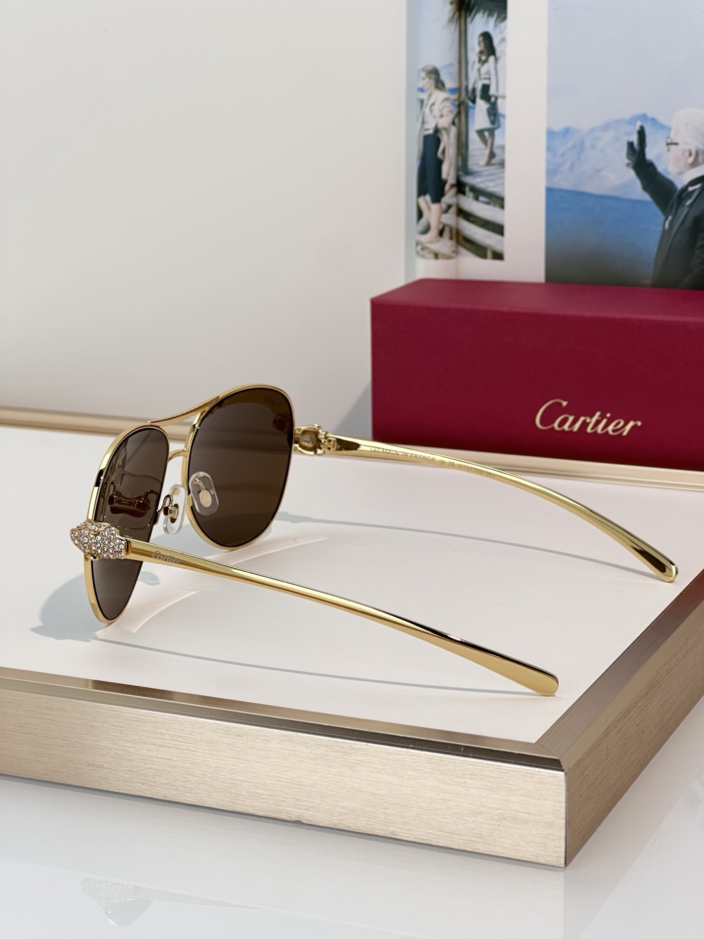 Designer Sunglasses CT0735S