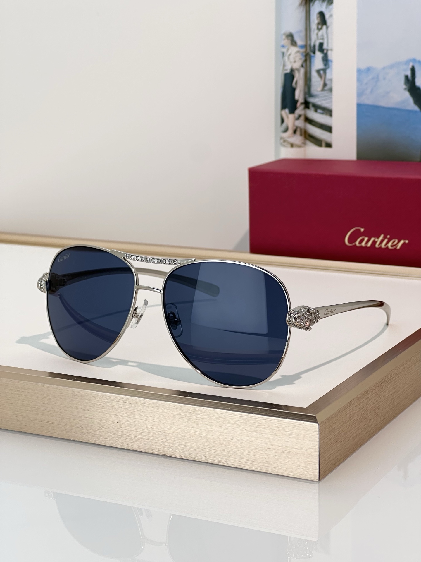 Designer Sunglasses CT0735S