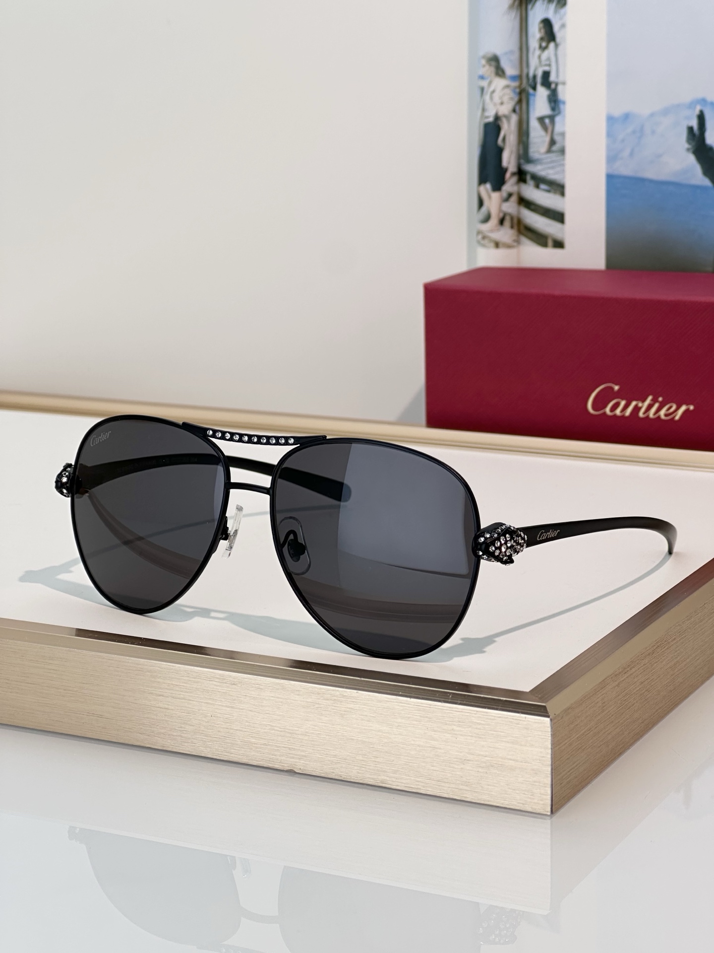 Designer Sunglasses CT0735S
