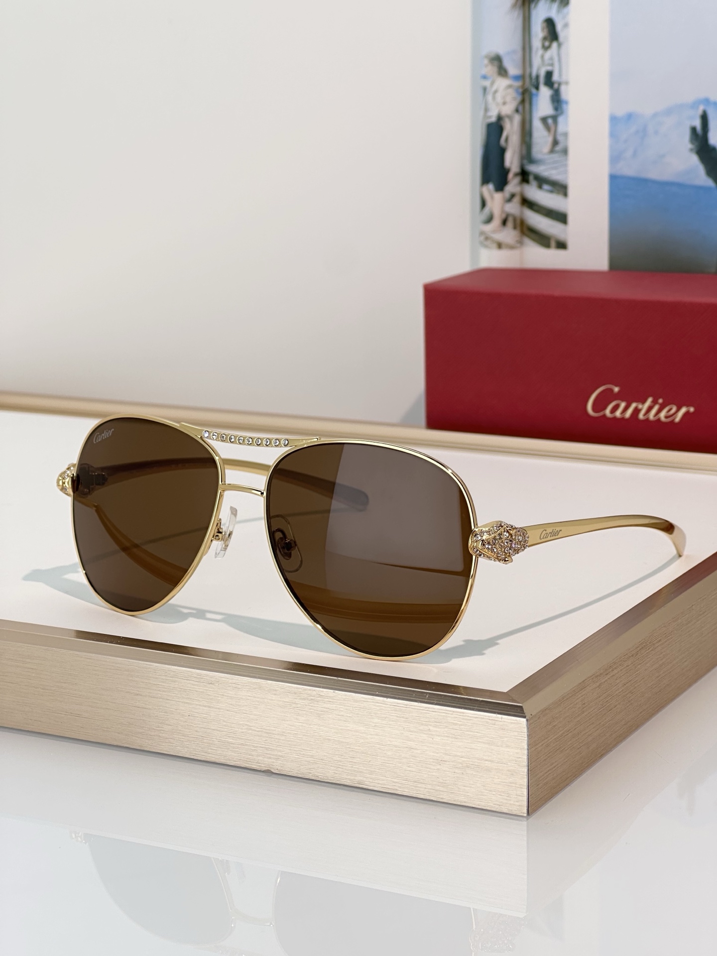 Designer Sunglasses CT0735S