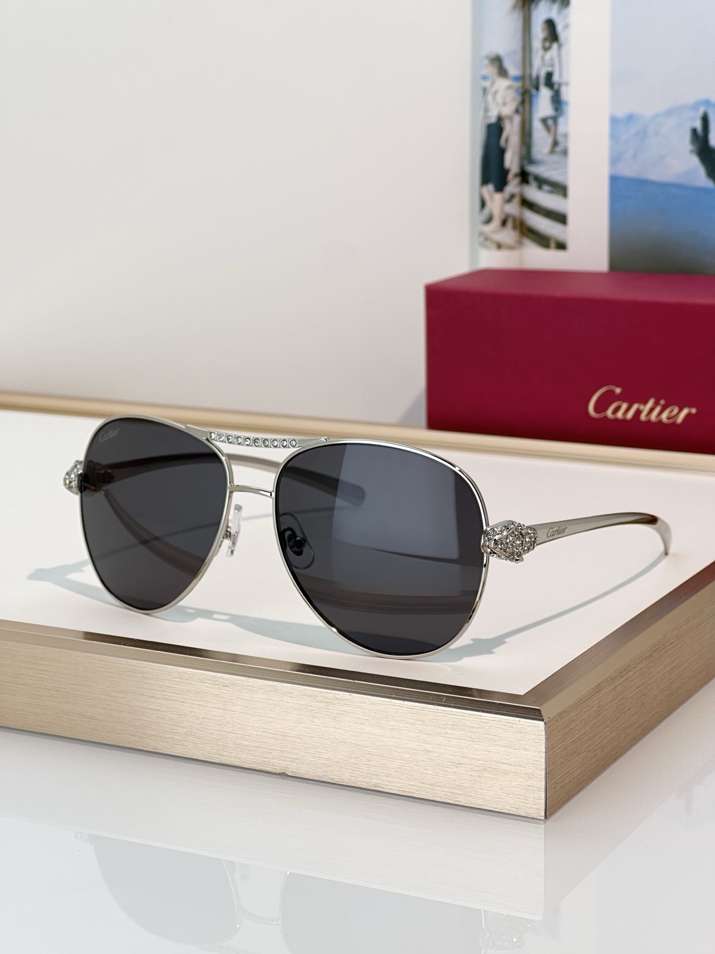 Designer Sunglasses CT0735S