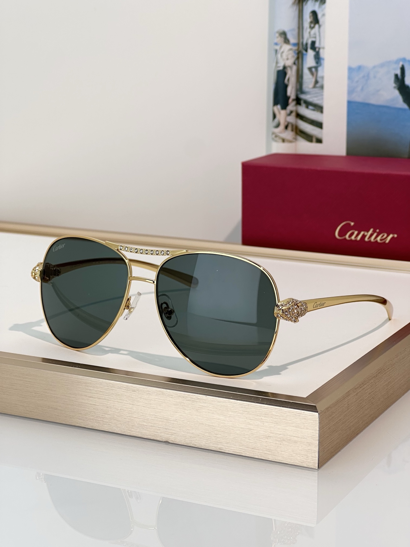 Designer Sunglasses CT0735S