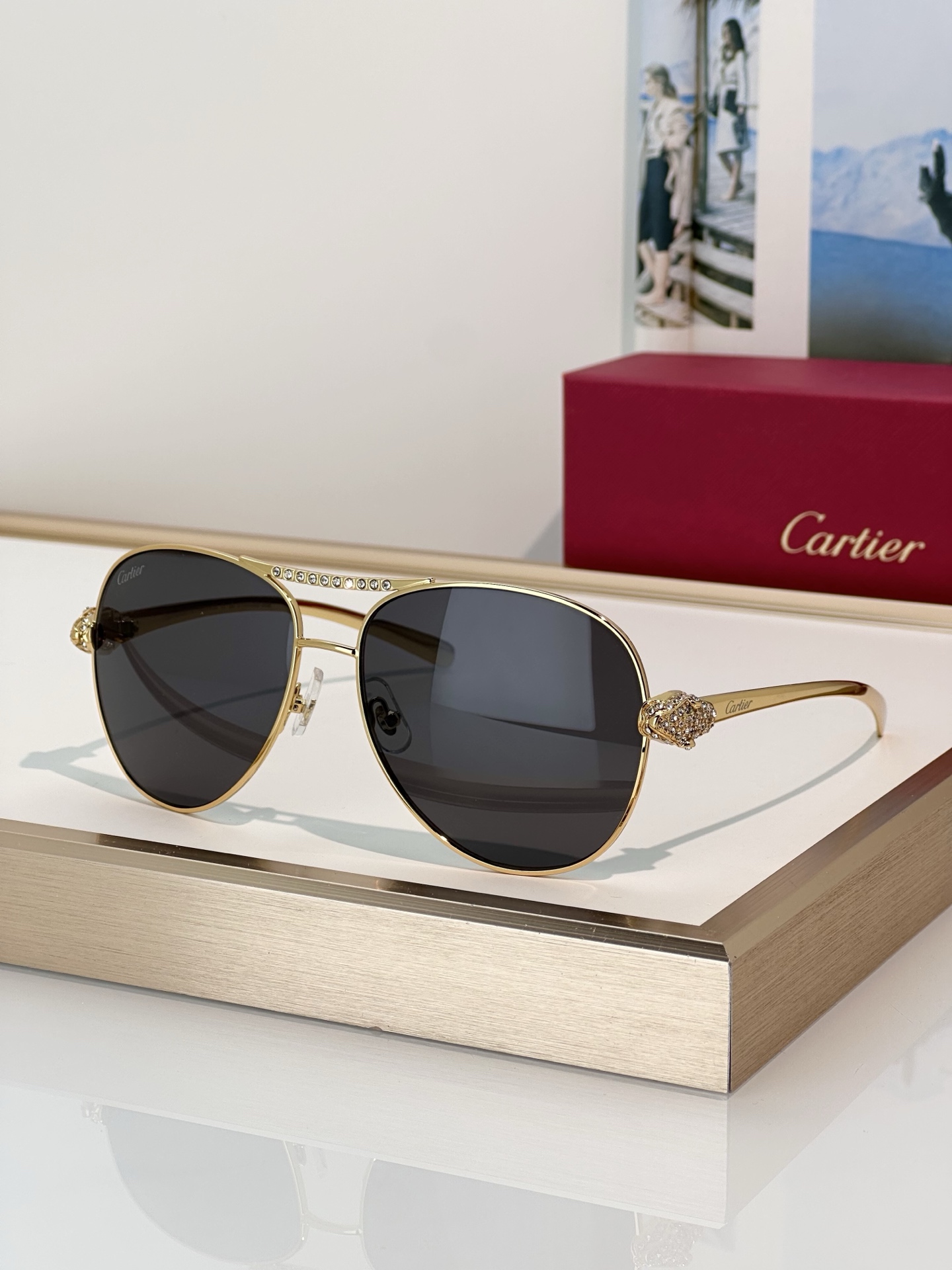 Designer Sunglasses CT0735S