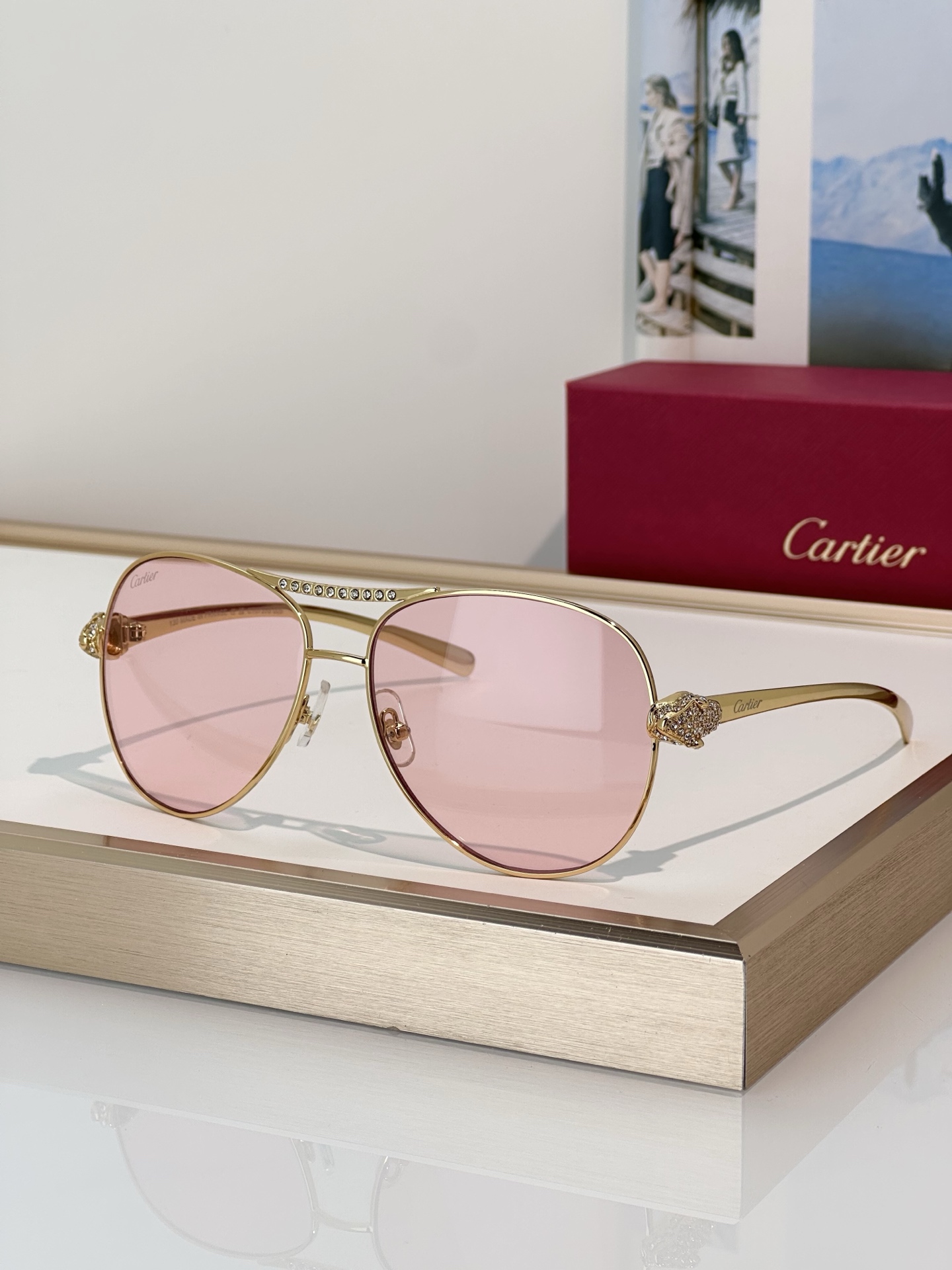 Designer Sunglasses CT0735S