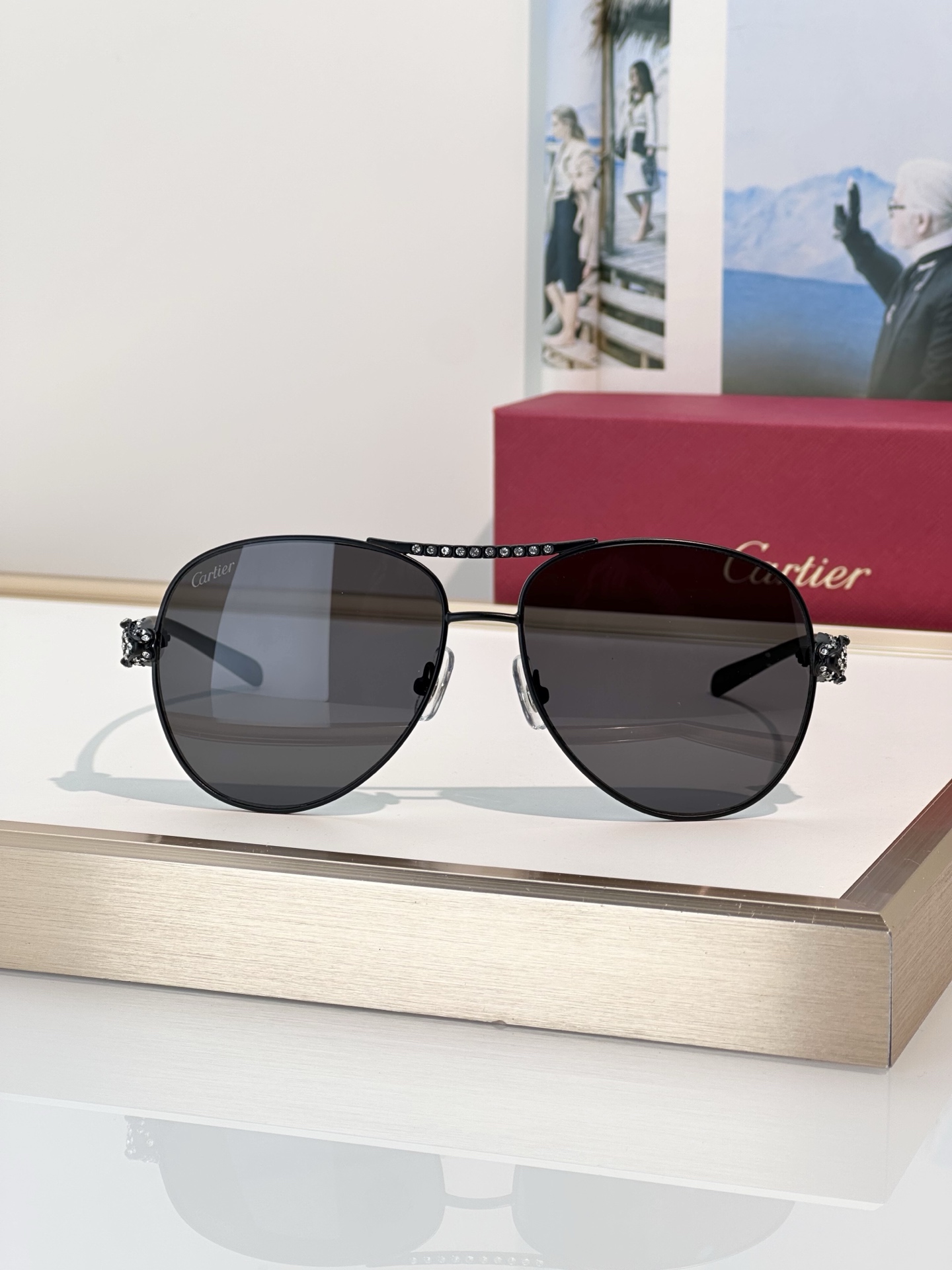 Designer Sunglasses CT0735S