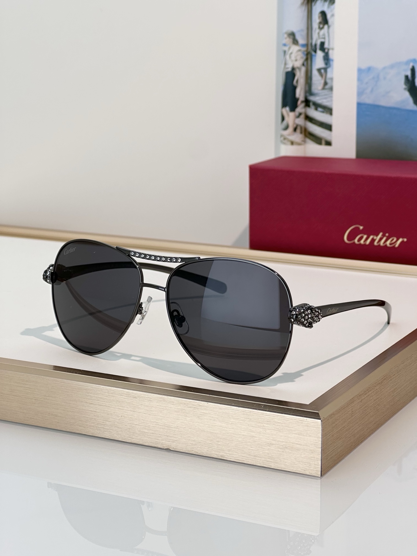 Designer Sunglasses CT0735S