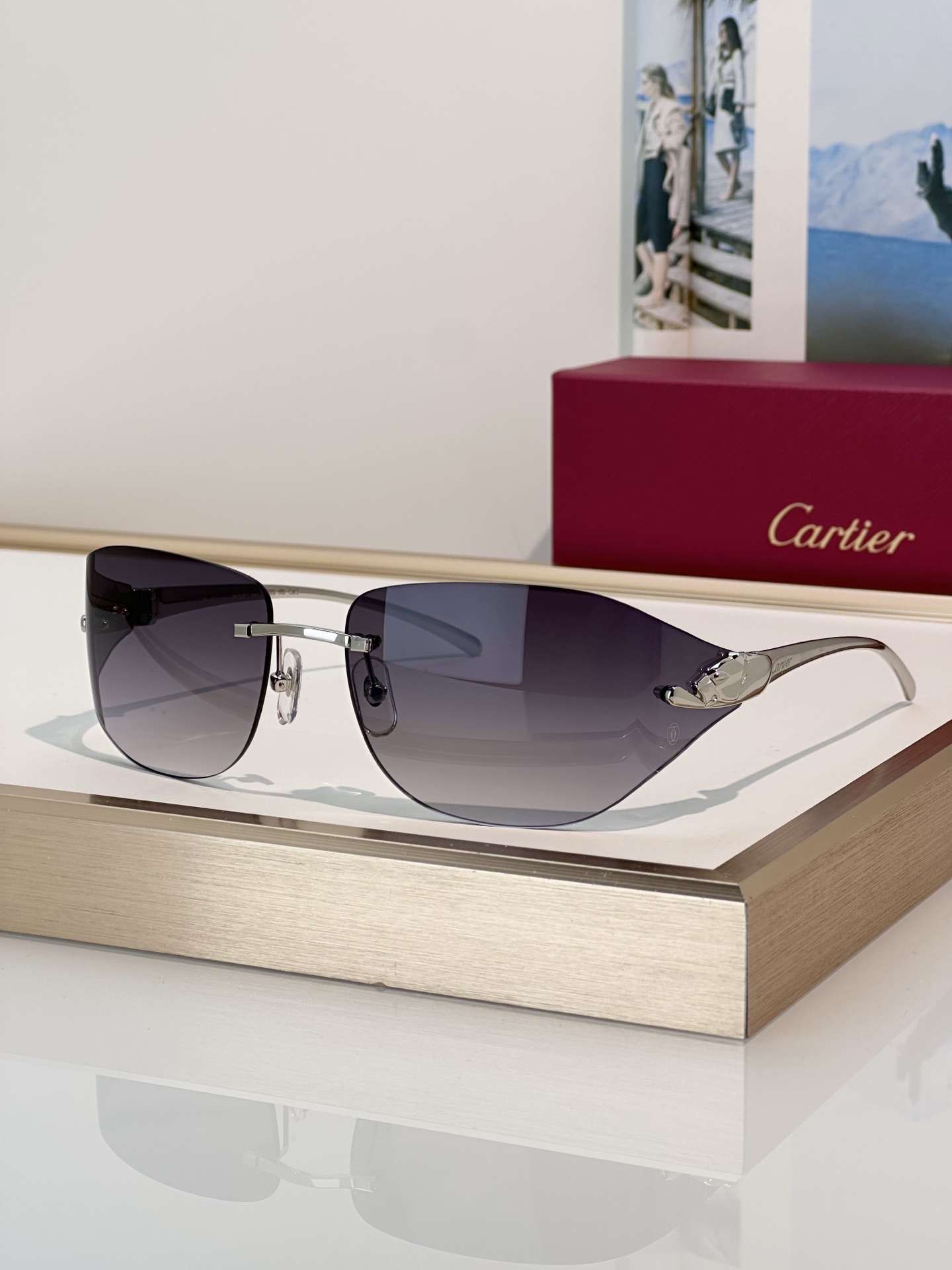Designer Sunglasses CT0068S
