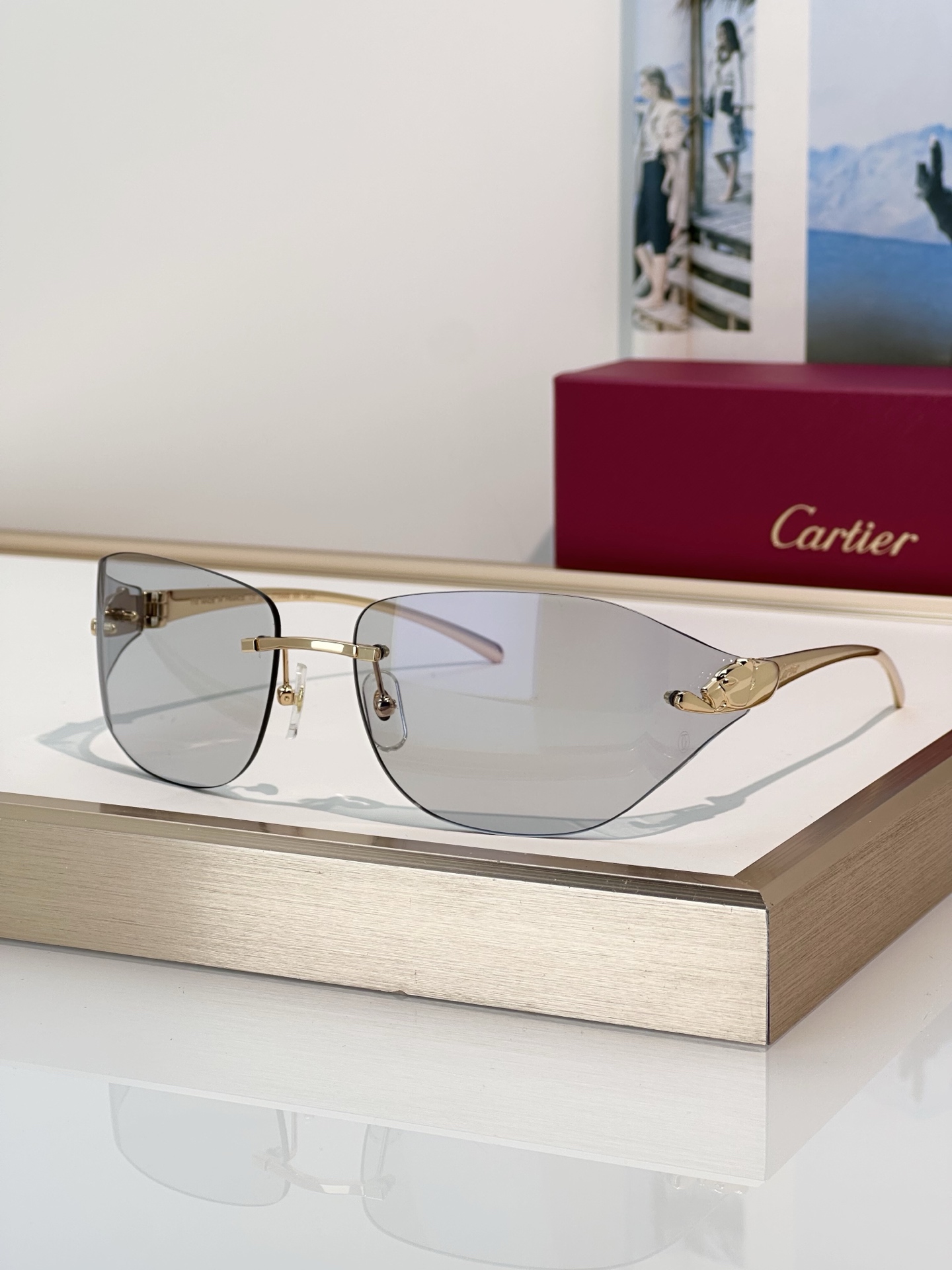 Designer Sunglasses CT0068S