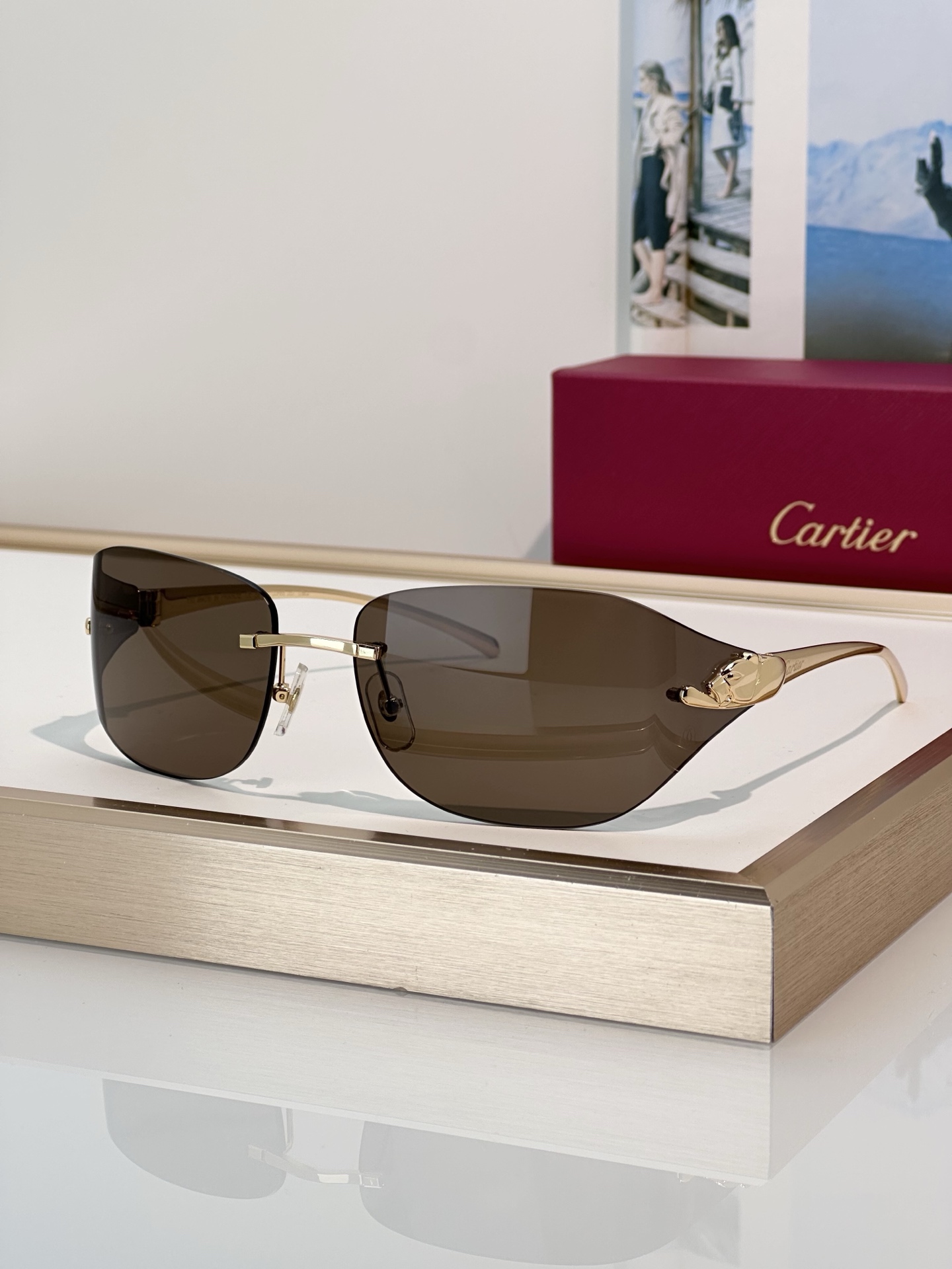 Designer Sunglasses CT0068S