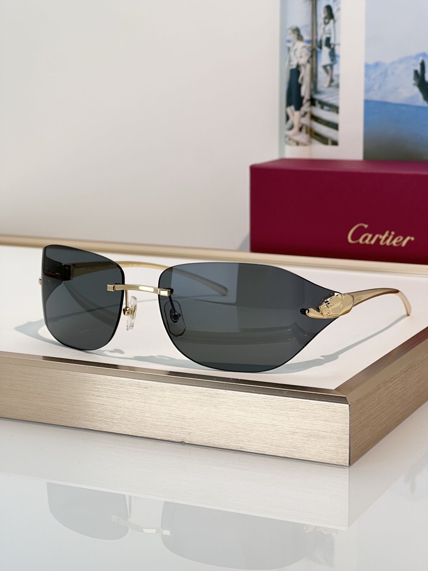 Designer Sunglasses CT0068S
