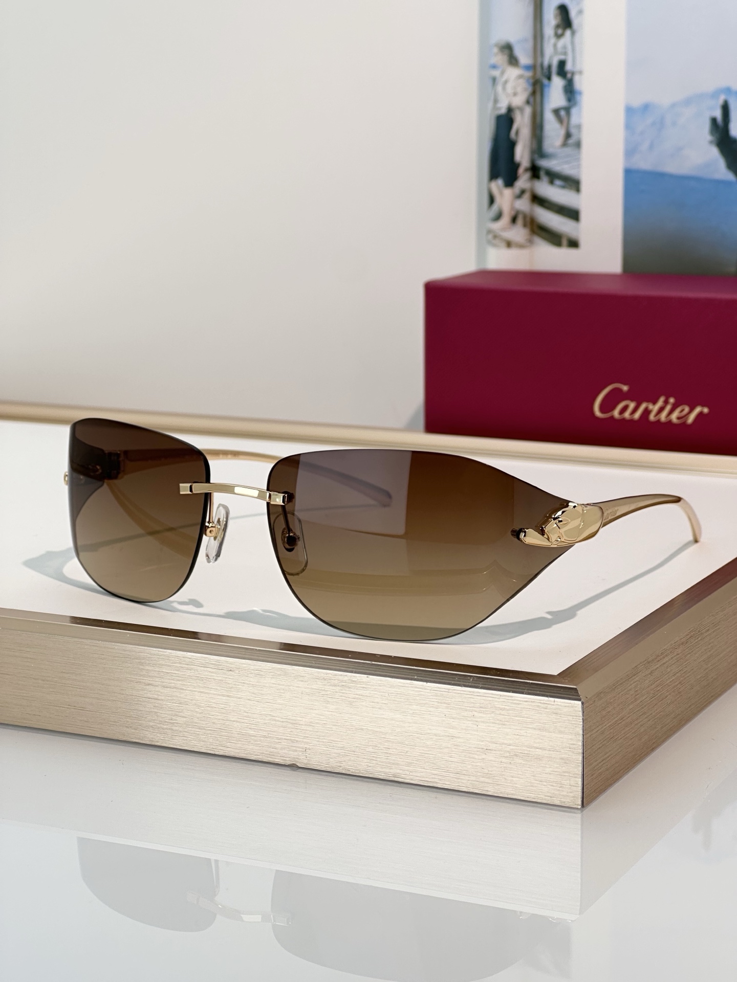 Designer Sunglasses CT0068S