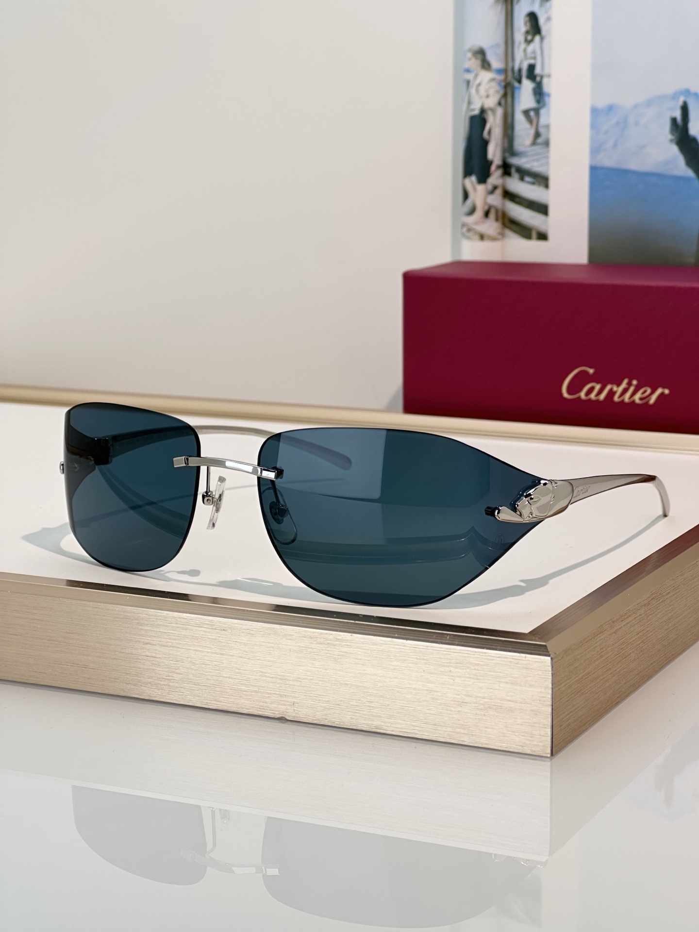 Designer Sunglasses CT0068S